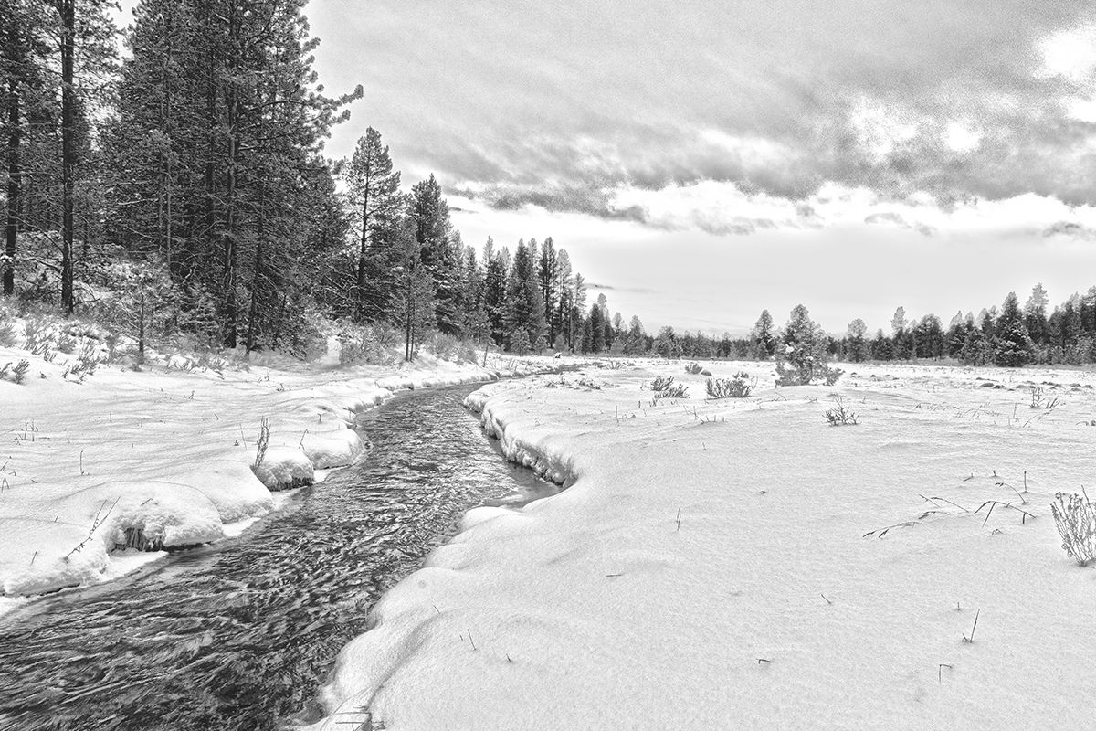 Snow covered winter landscape with a winding stream cutting through evergreen forest.