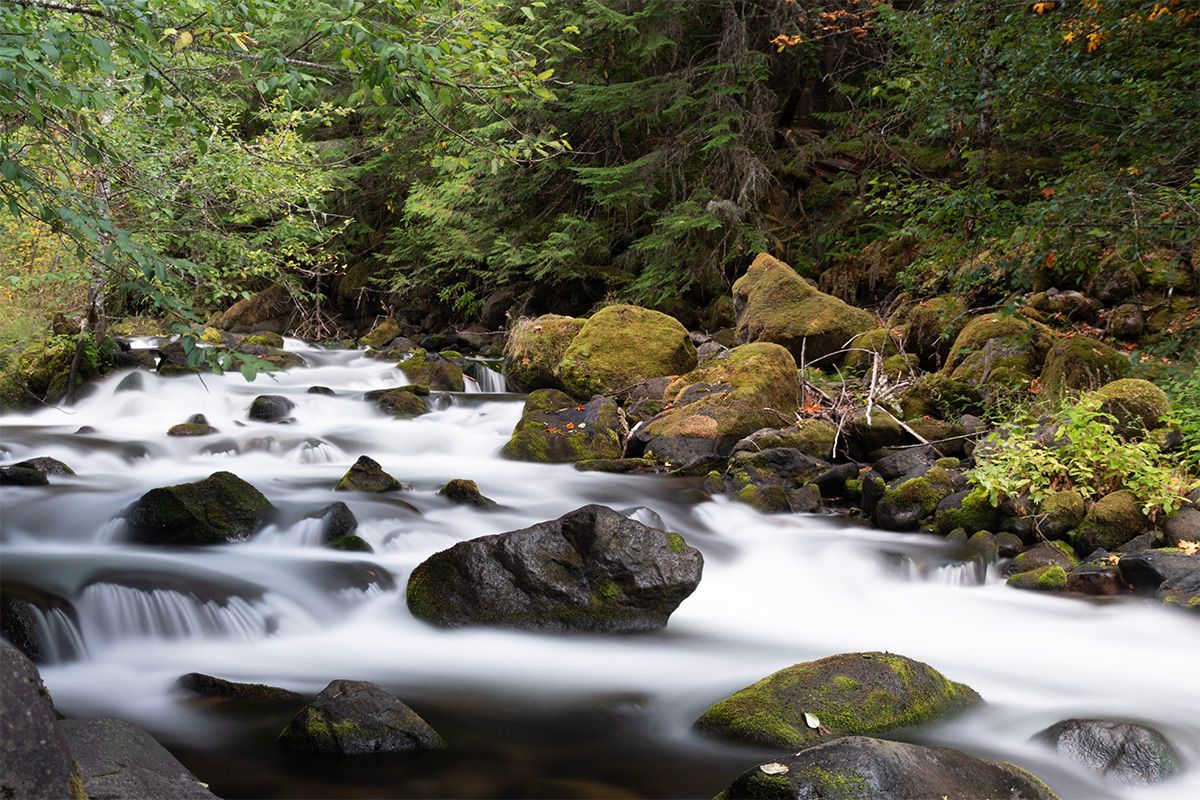 Long exposure of rushing stream water flowing over mossy rocks in lush forest setting.
