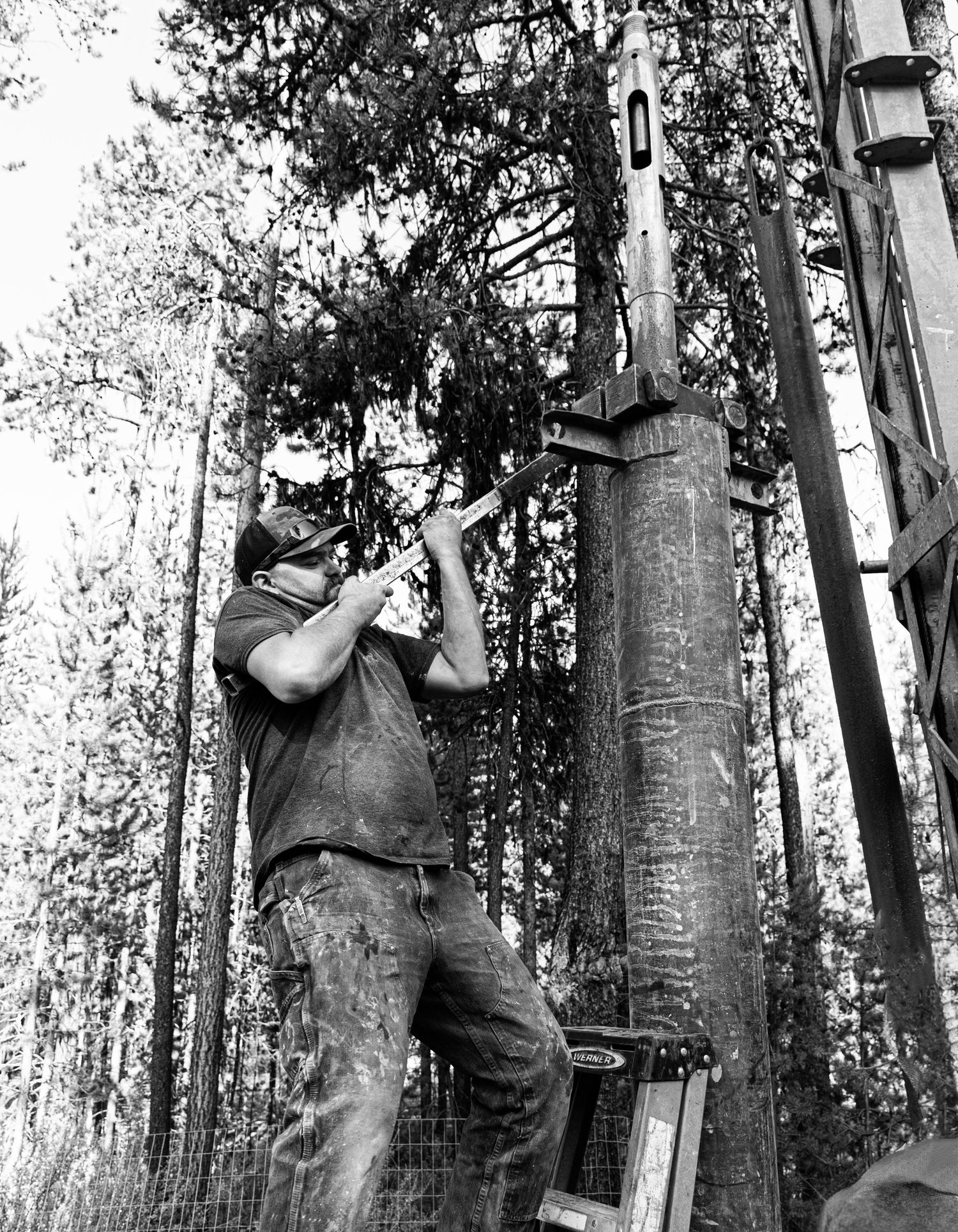 Vintage photograph shows worker climbing utility pole in dense forest setting.