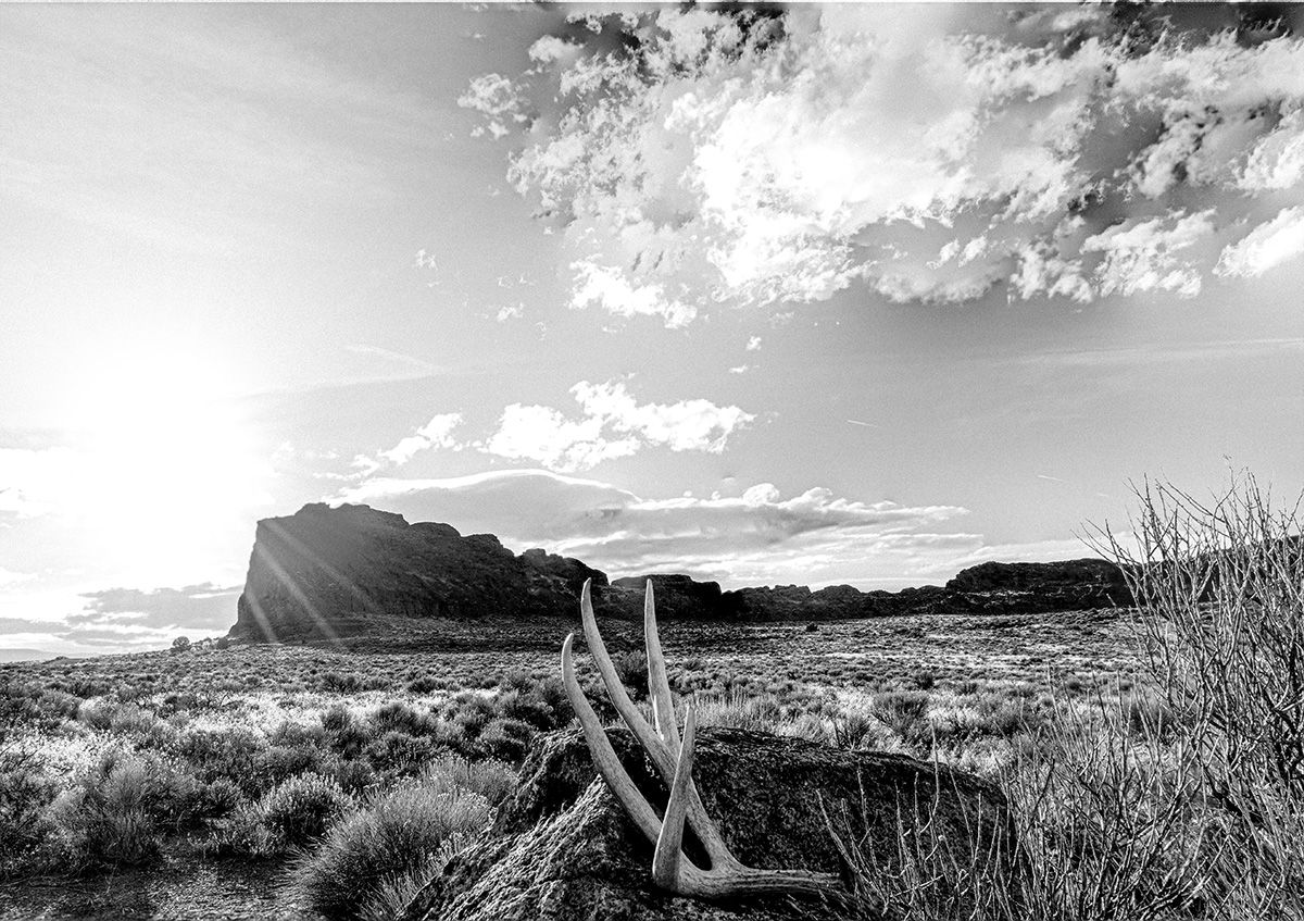 Black and white desert landscape with dramatic clouds and an old deer antler in the foreground.
