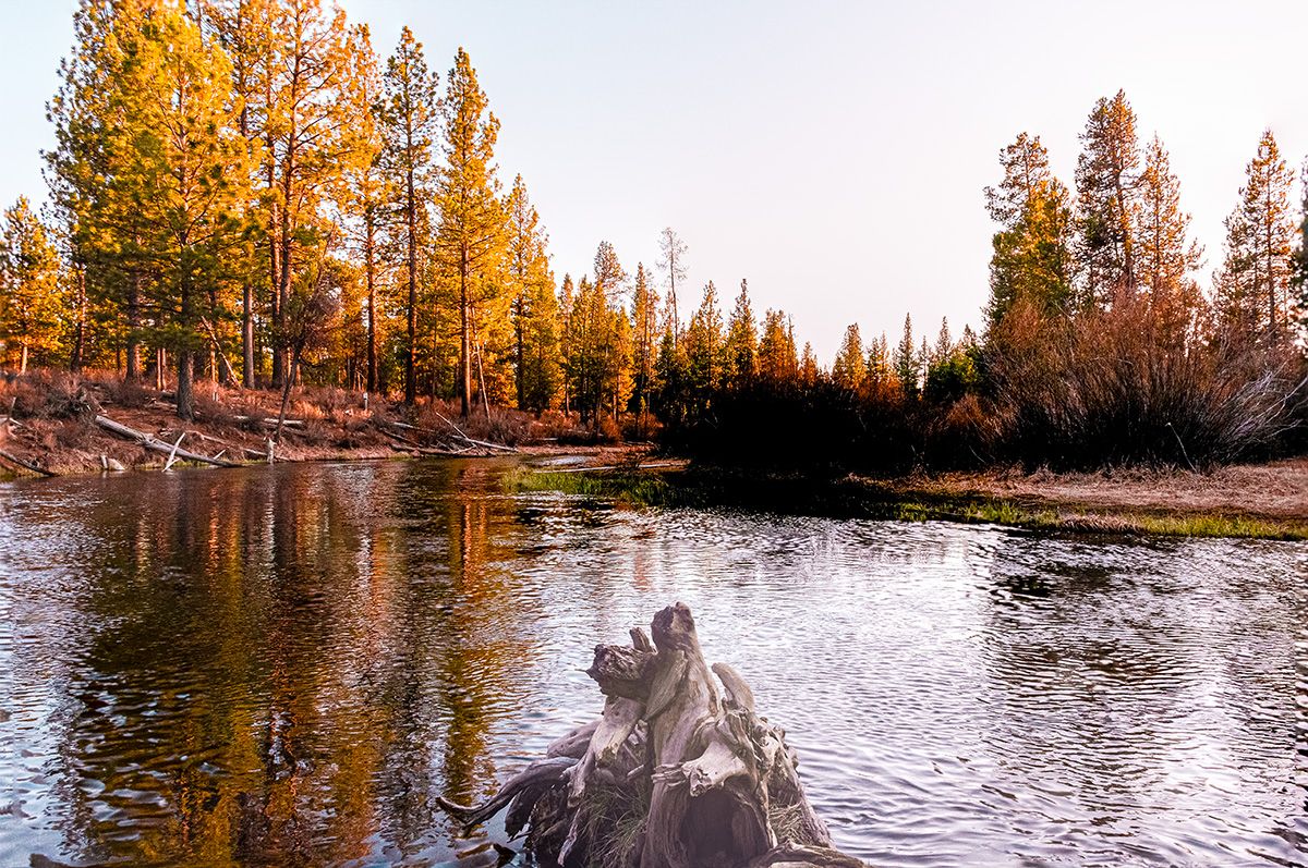 A serene autumn landscape with golden larch trees reflecting in a tranquil lake during sunset.