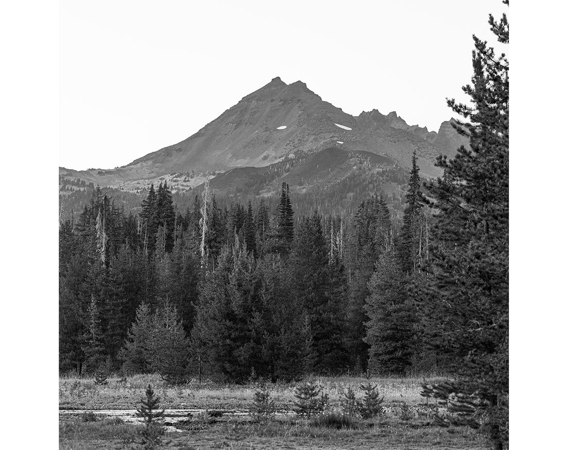 Five black and white vintage landscape photographs show mountainous terrain with evergreen forests and peaks in the distance.
