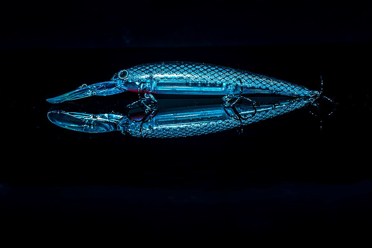 X-ray style images showing the skeletal structure of a dolphin in glowing blue tones against a dark background.