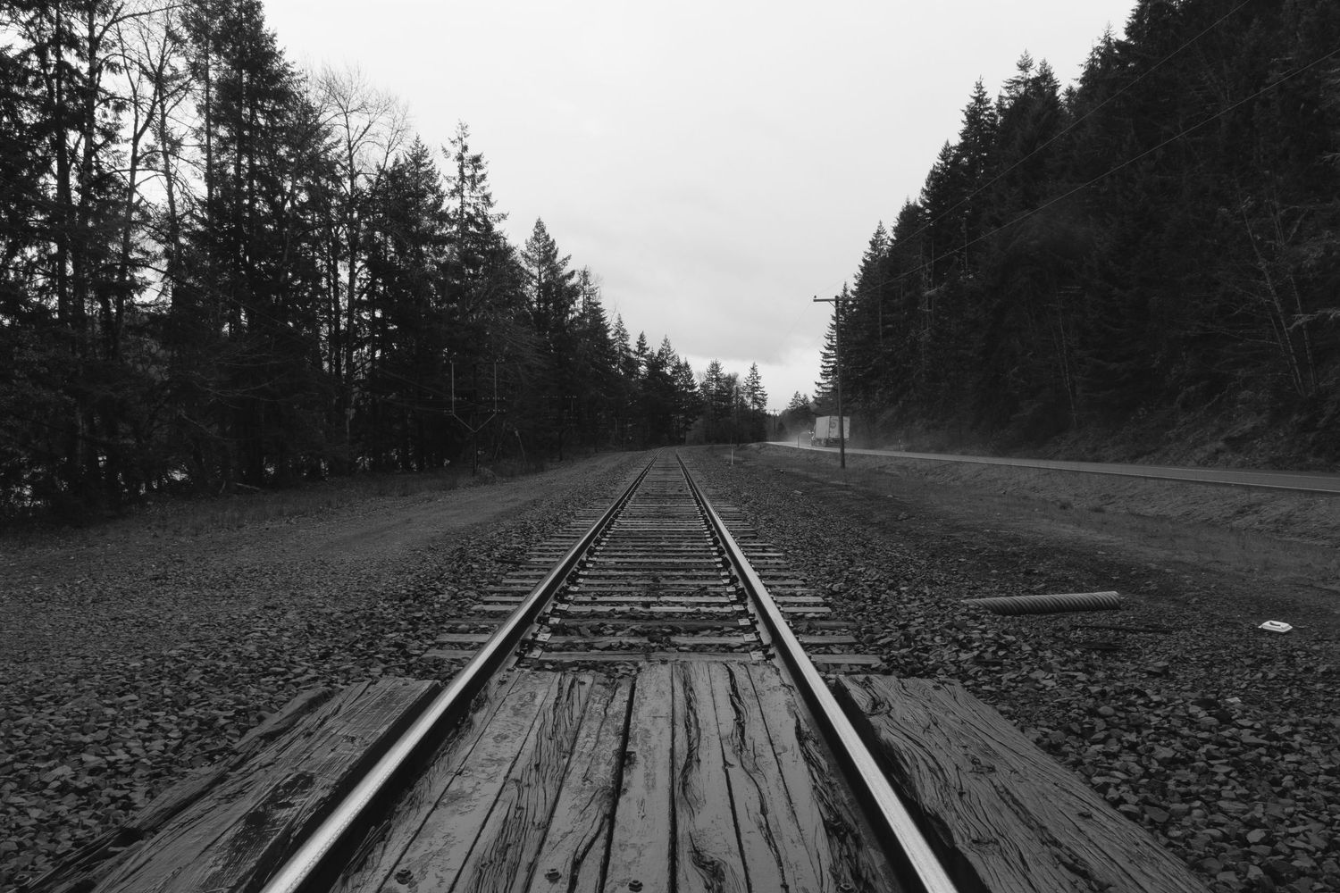 Black and white photograph of railroad tracks leading through a dense forest corridor.