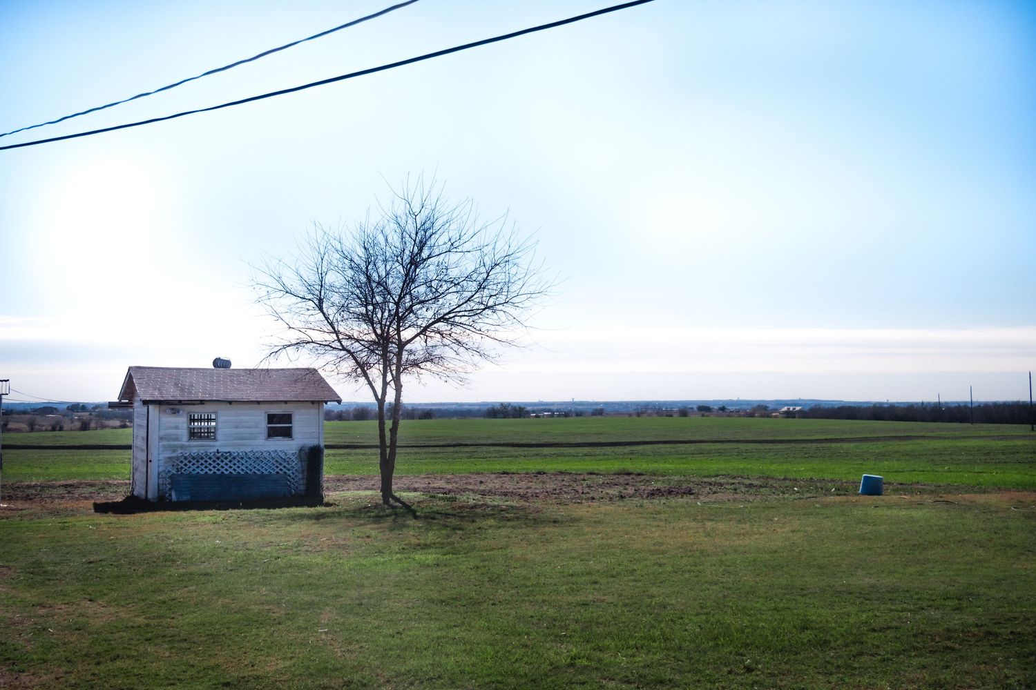 A small white shed stands alone in a rural field with a bare tree against a blue sky.