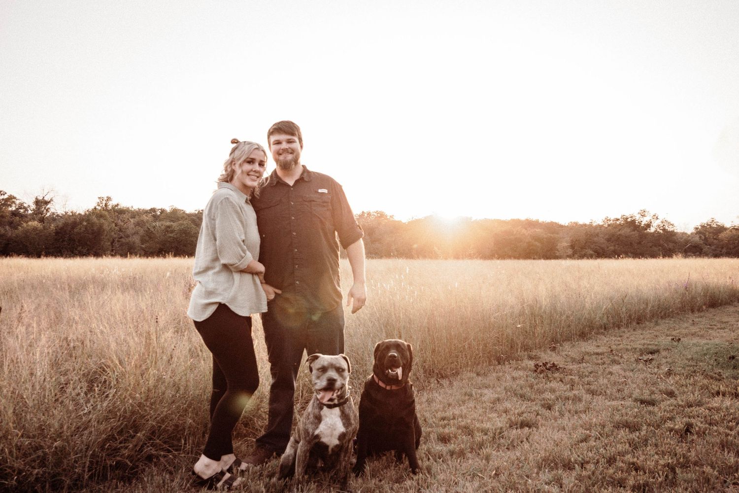 A loving couple and their two dogs stand together in a golden sunlit meadow at sunset.