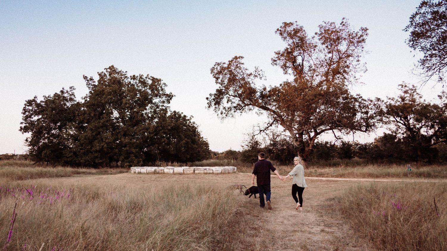 Two people walk through a golden field at sunset with silhouetted trees in the background.
