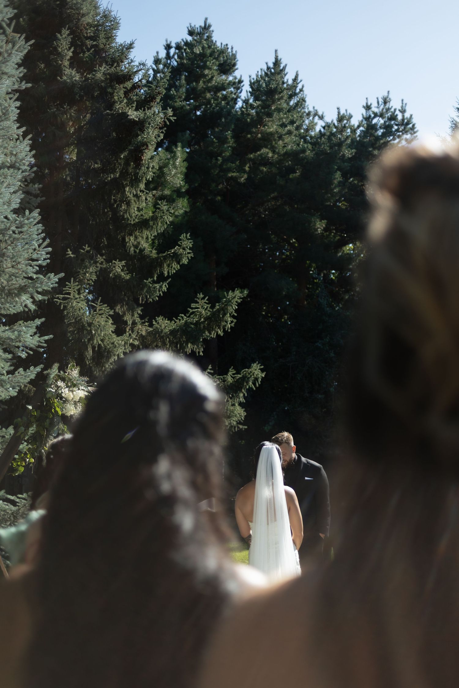 A silhouetted figure in a white dress stands among tall evergreen trees in a backlit outdoor setting.
