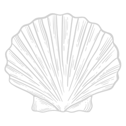 Minimalist line drawing illustration of a scallop seashell in light gray on white background.