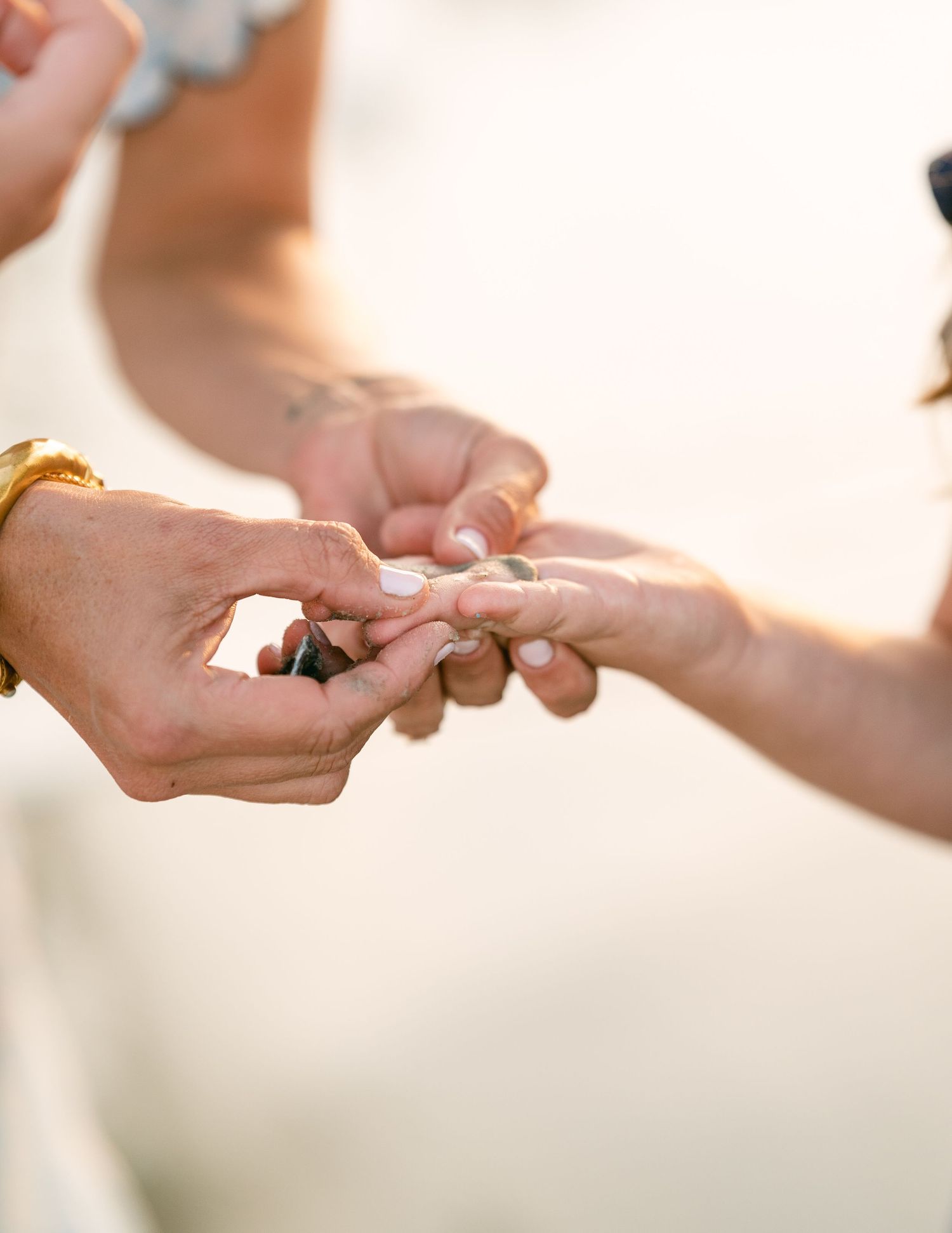 Close-up of hands holding a small seashell on the beach.