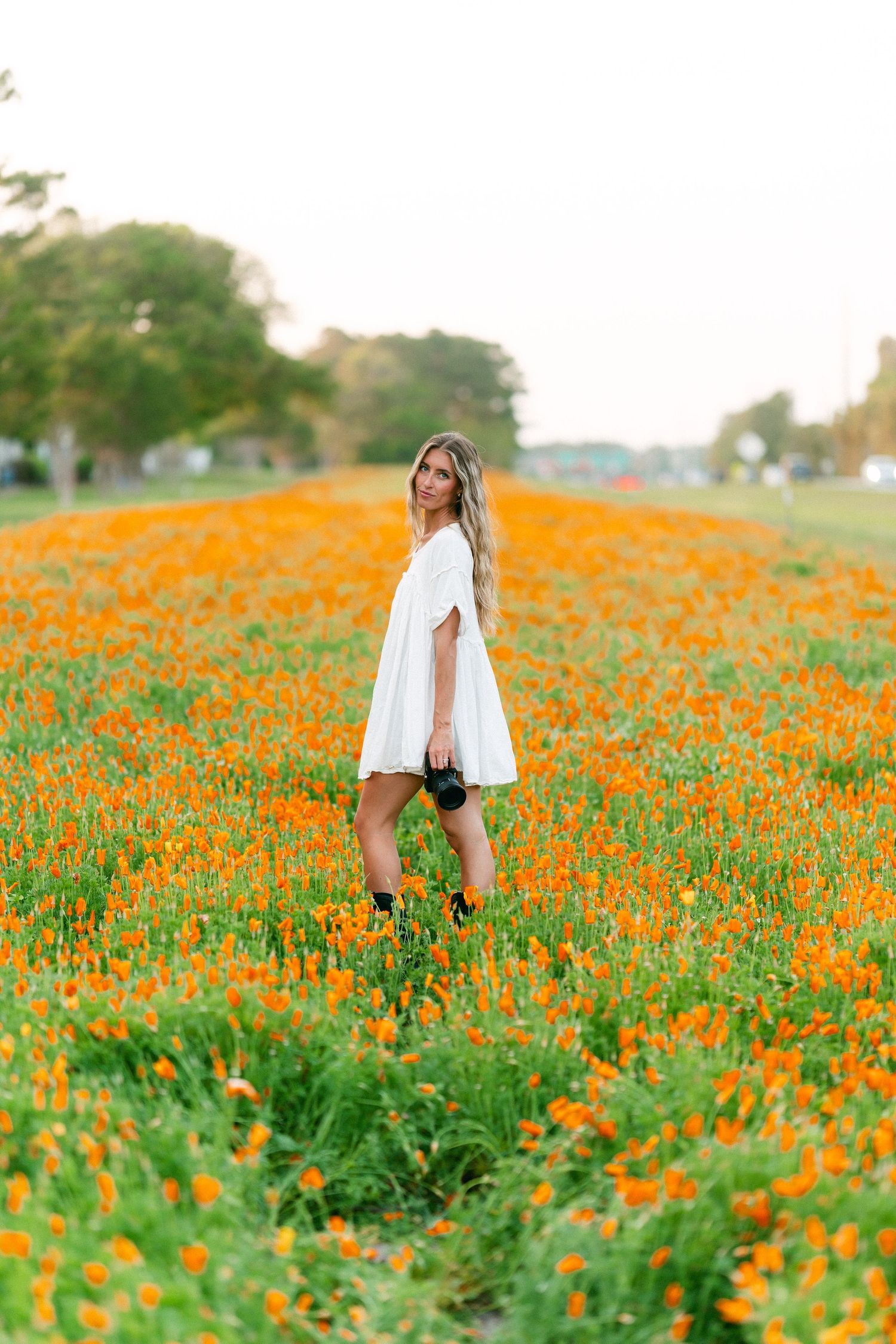 Woman in white dress holding camera, standing in rows of orange poppies in a flower field.
