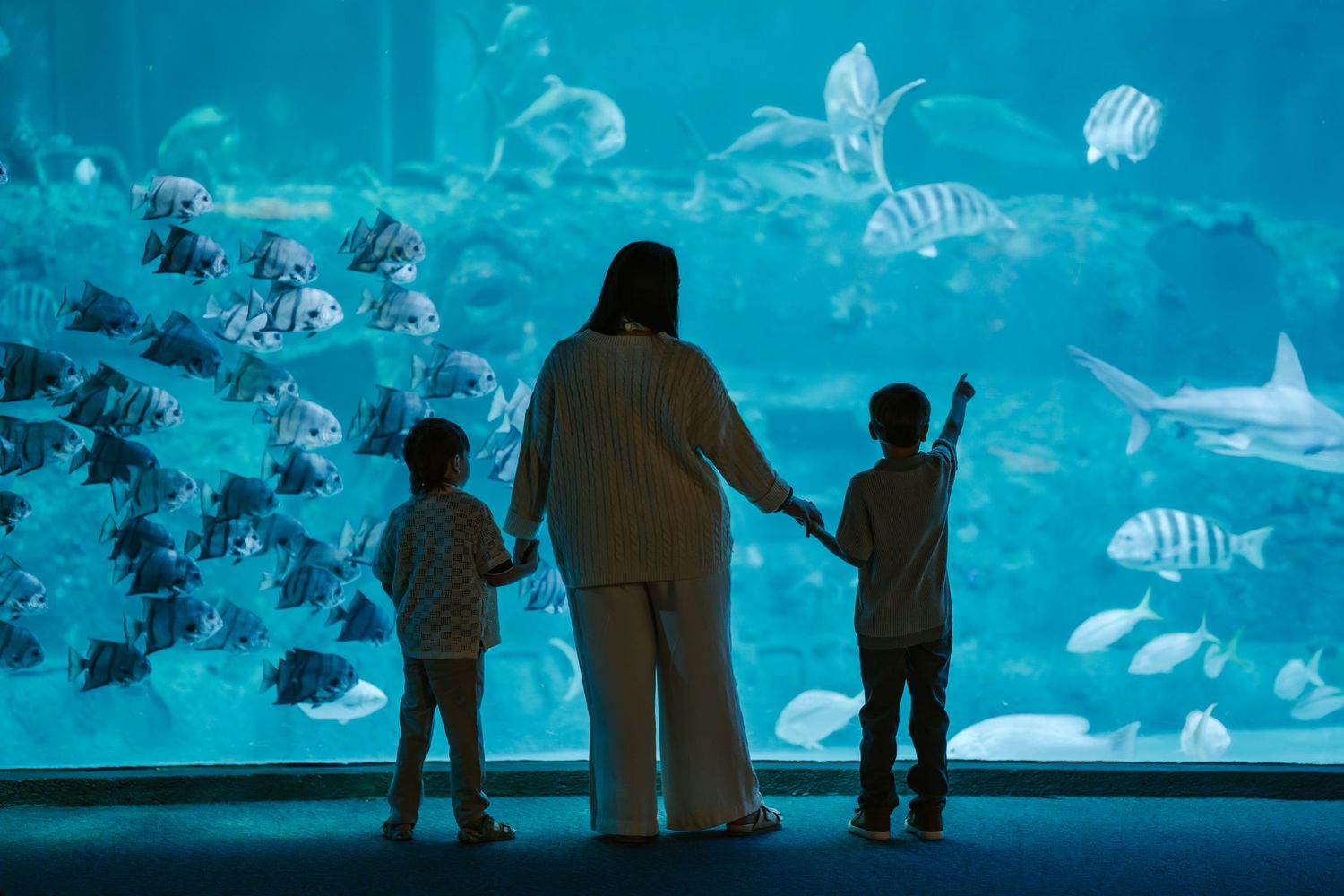 Mother and two children silhouetted before large aquarium tank with tropical fish.