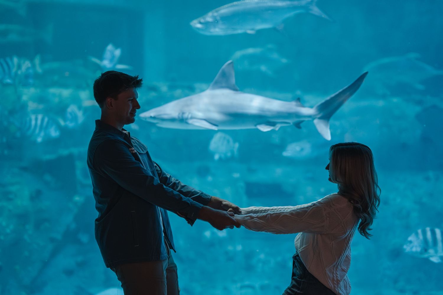 Couple holding hands at aquarium with large shark swimming behind glass tank filled with fish.