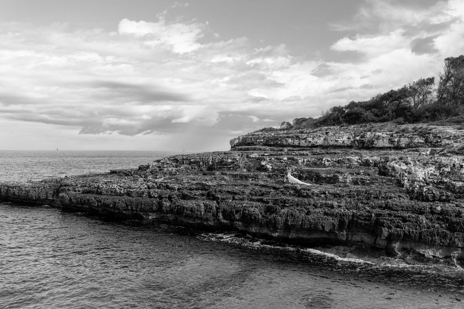 Scenic coastal landscape with rocky cliffs and ocean waves stretching along the horizon.