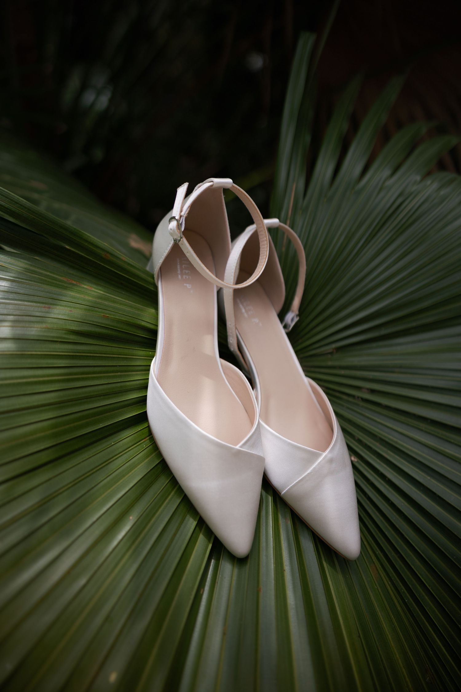 Pair of elegant ivory pointed-toe ankle strap wedding shoes with low heels resting on a large green palm leaf.