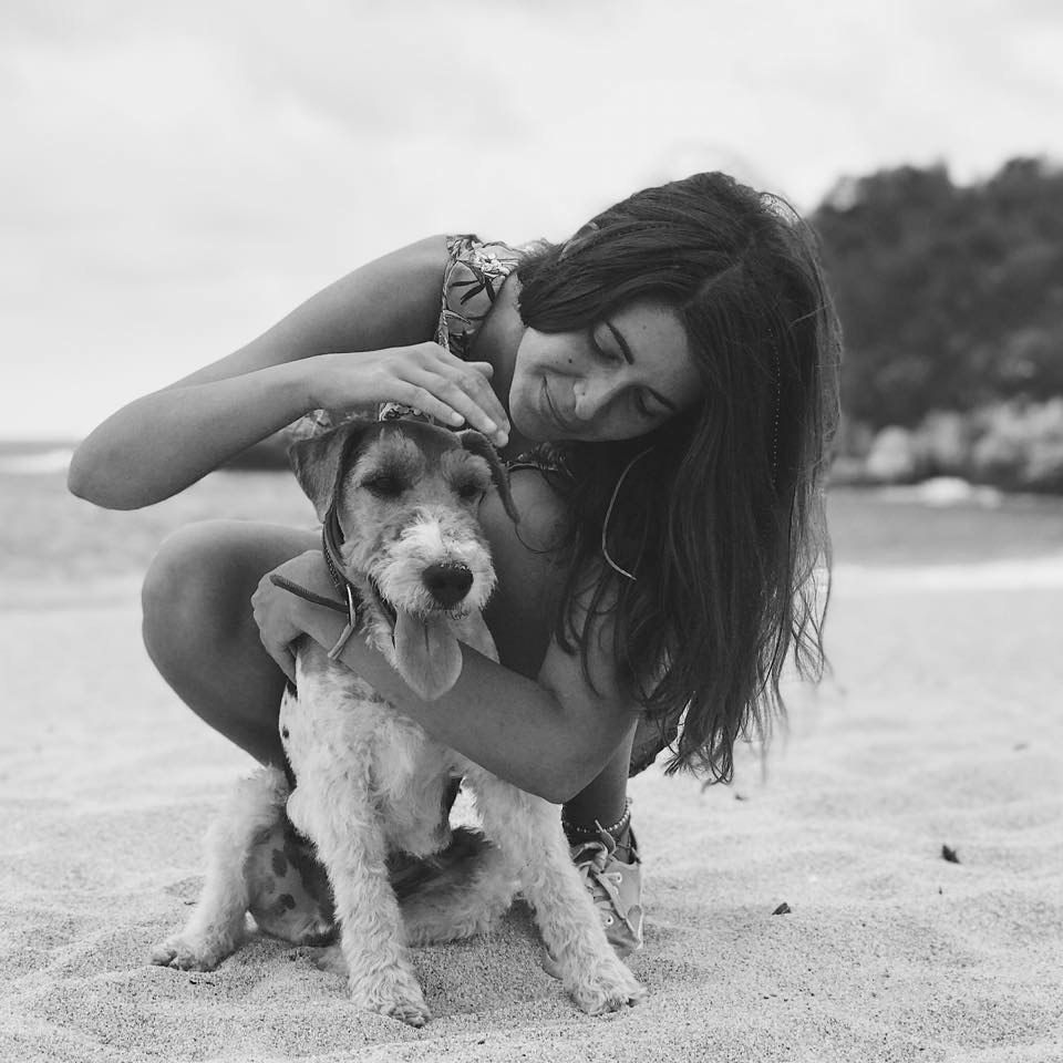 Playful moments with a small dog on a sandy beach.