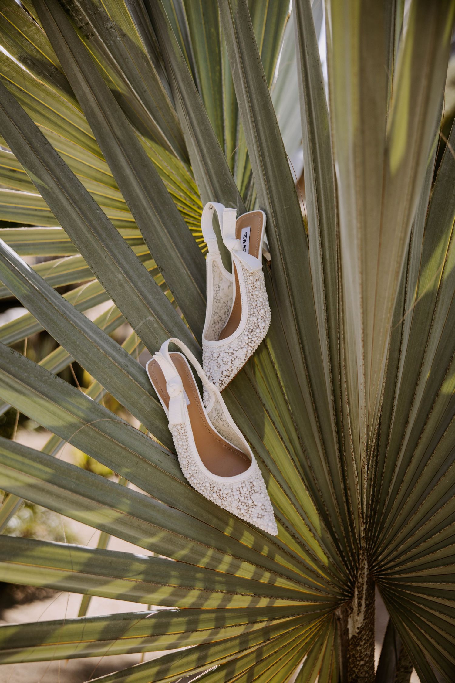Sparkly bridal heels artfully displayed on palm fronds.
