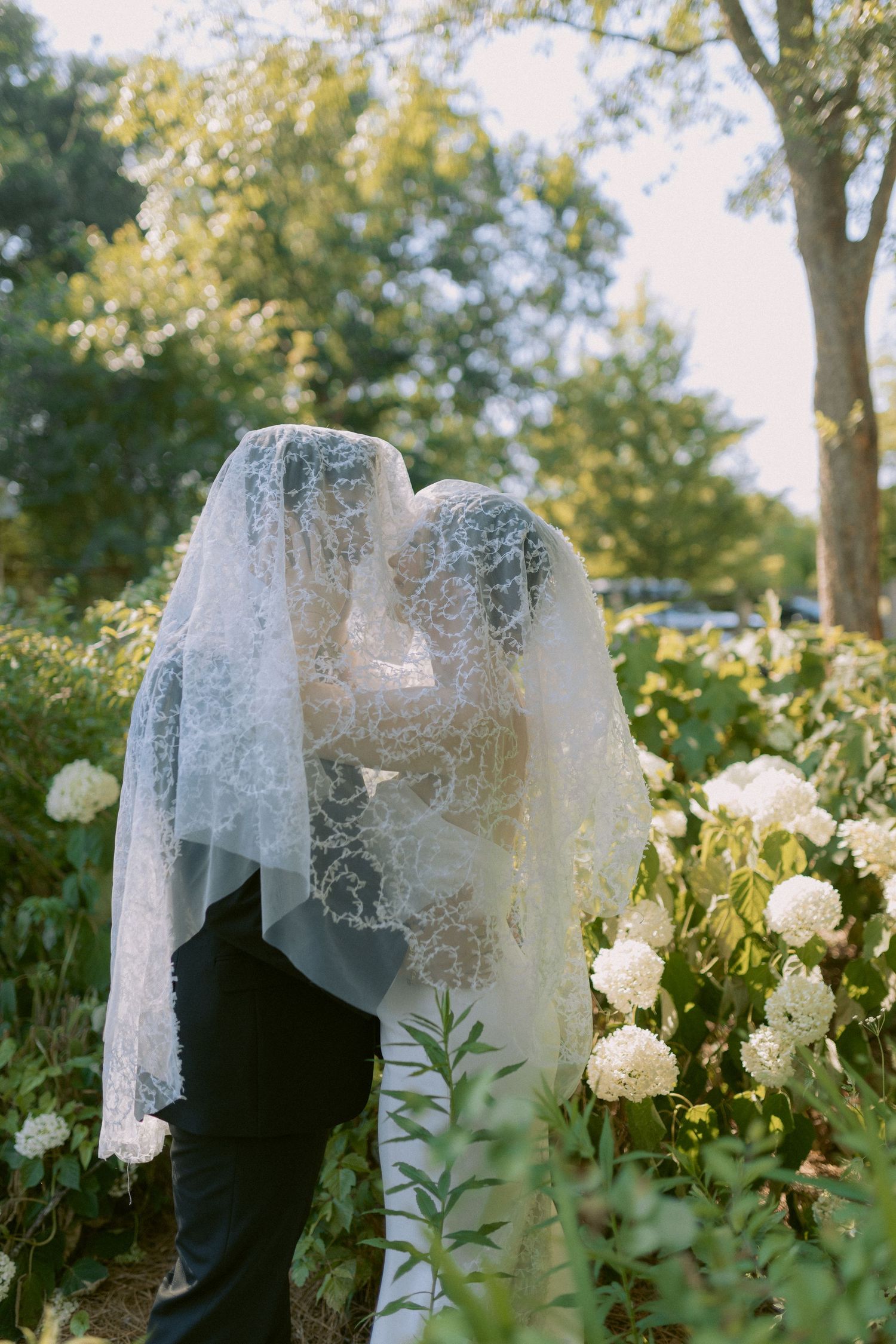 Delicate white bridal veil catches sunlight among blooming garden flowers.