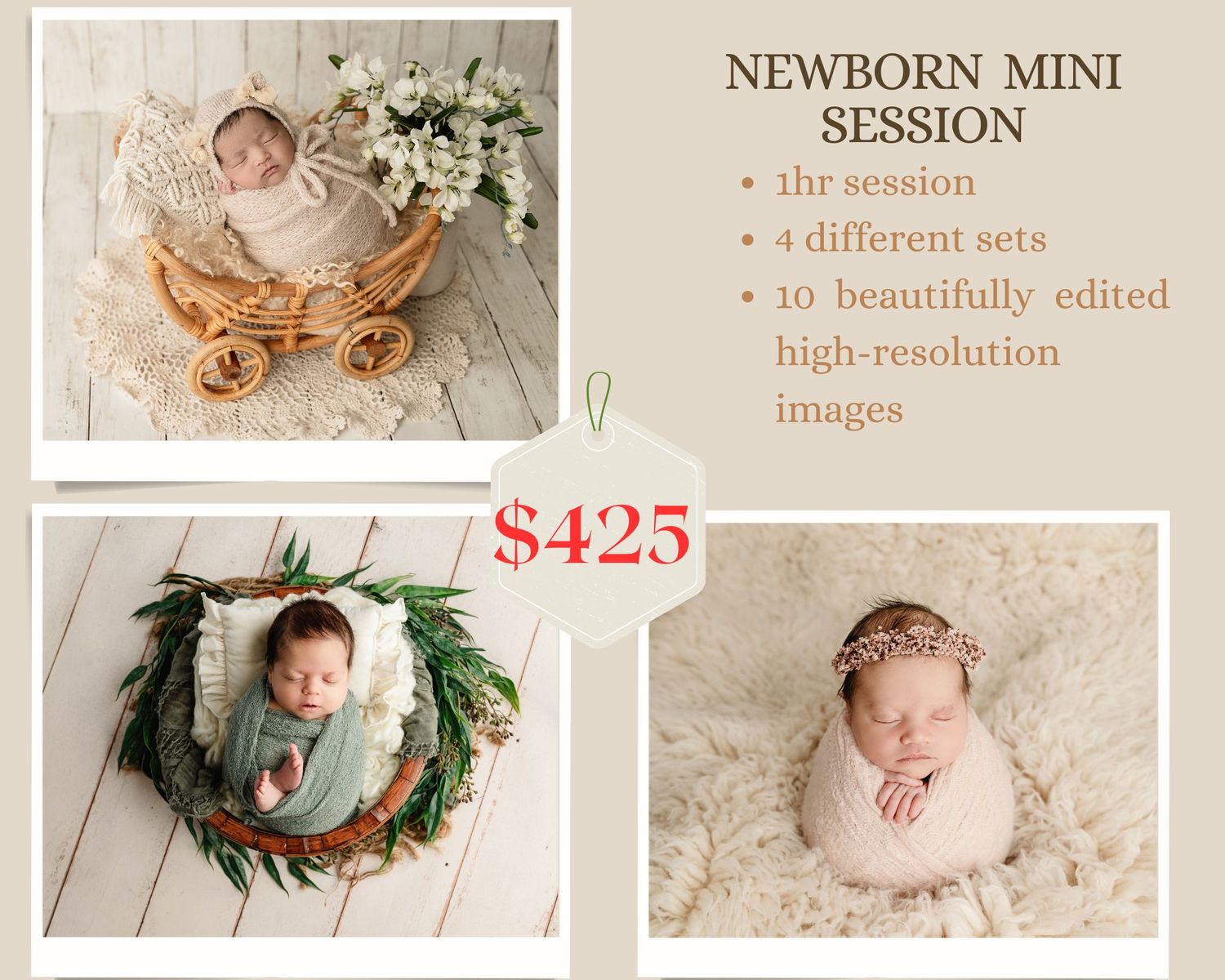 Newborn mini session promotional collage featuring three posed infant photos in cozy setups, priced at $425 for 1hr and 10 images.