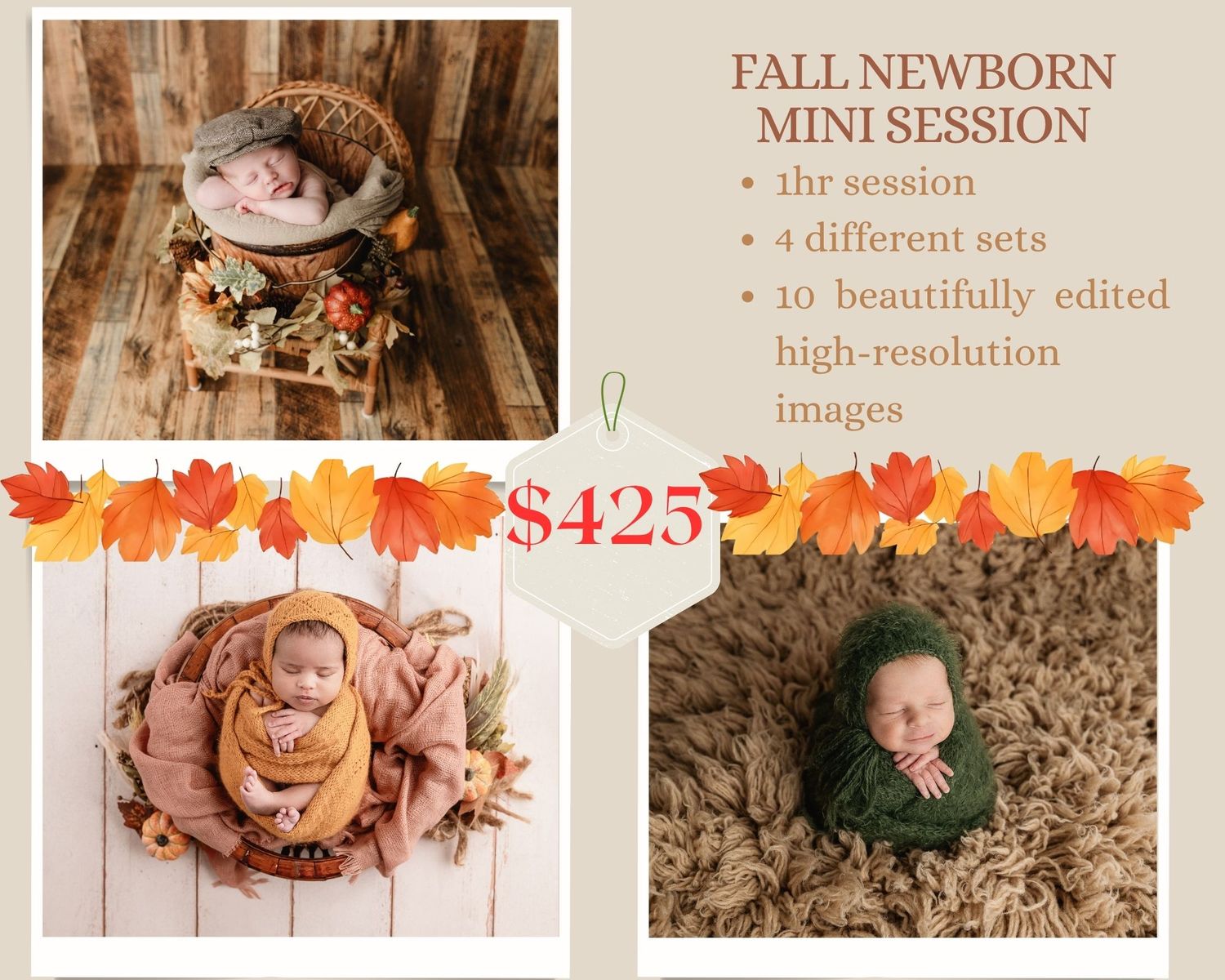 Fall newborn mini session collage featuring sleeping babies in autumn-themed sets with leaves, priced at $425 for 1hr and 10 images.