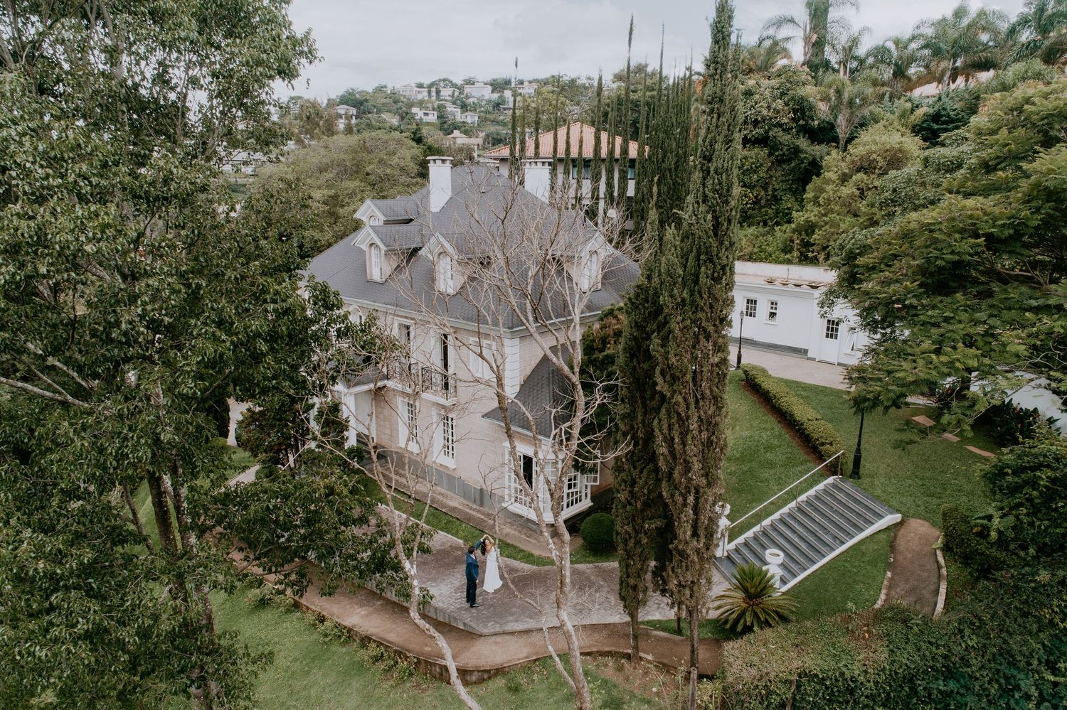 Aerial view of a historic white mansion with tall cypress trees and lush landscaping in a tropical garden setting.
