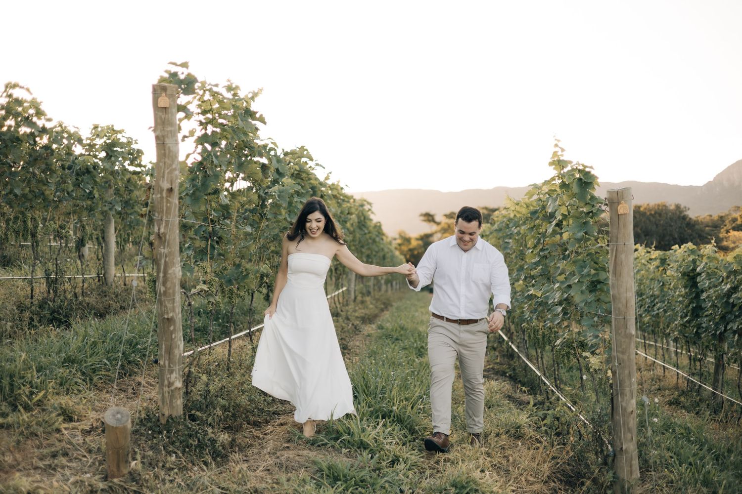 Two people walk through scenic vineyard rows holding hands on sunny afternoon in rustic outdoor setting.