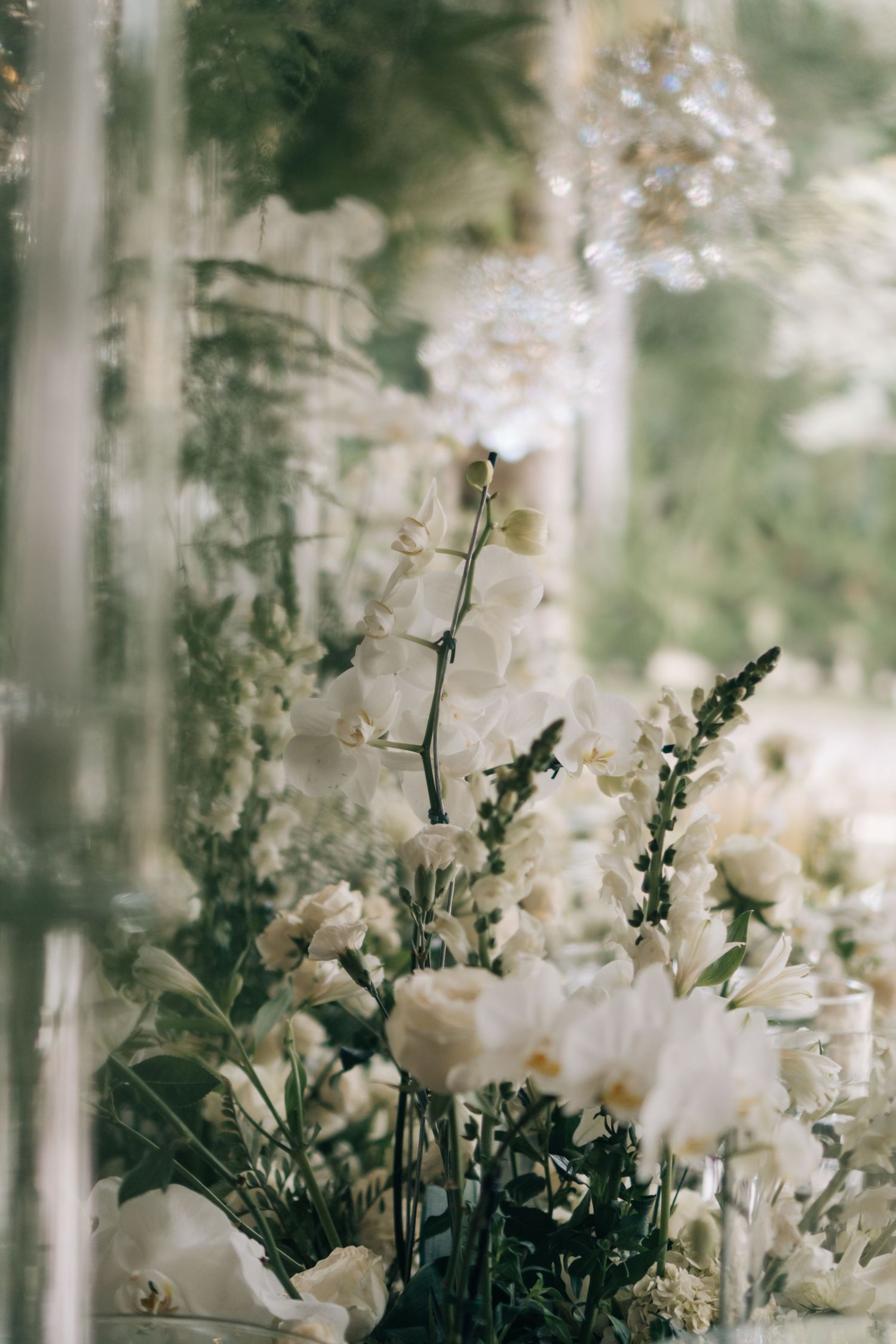 Delicate white floral arrangement with soft focus creating dreamy atmosphere.