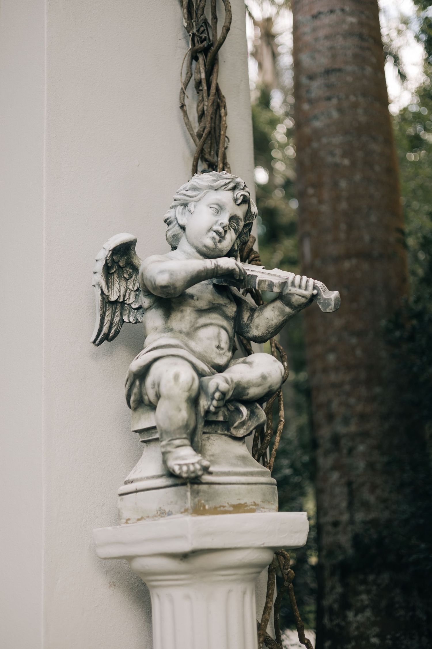 Decorative stone cherub statue playing violin mounted on white column outdoors.