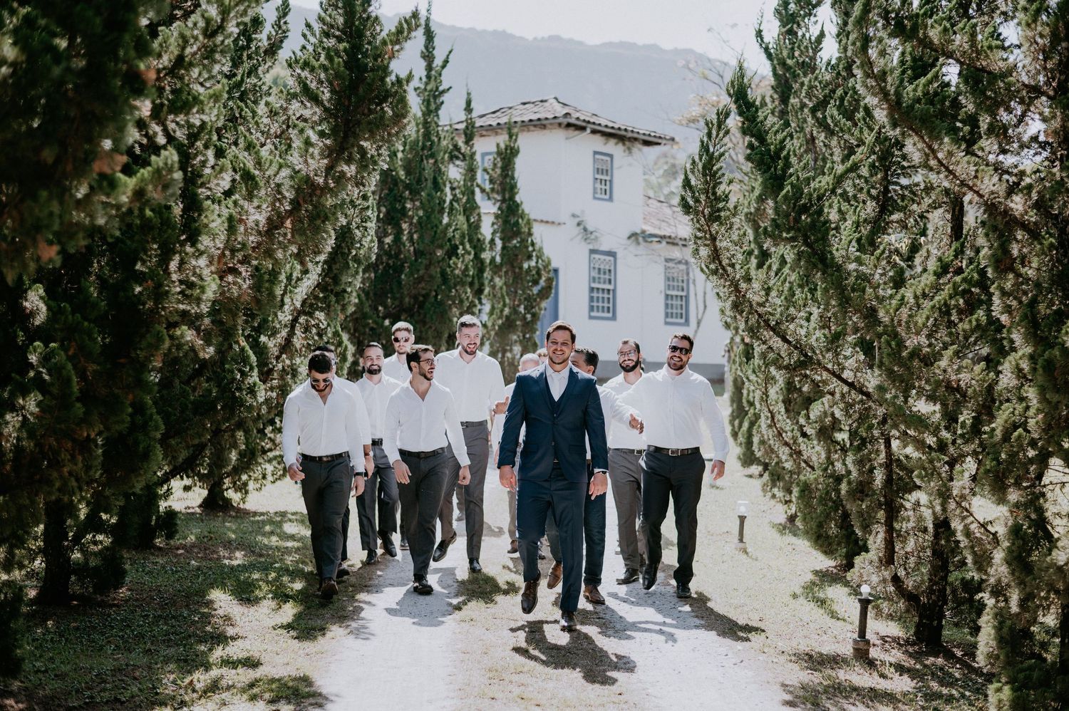 A group walking outdoors on a path flanked by tall cypress trees with a white building visible in the background.