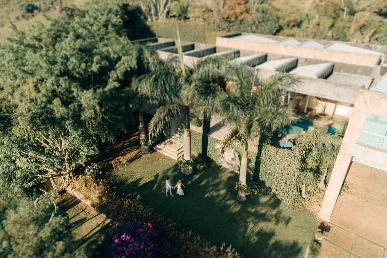 Aerial view of a backyard garden with palm trees, terraced walls, and figures casting shadows on a sunny day.