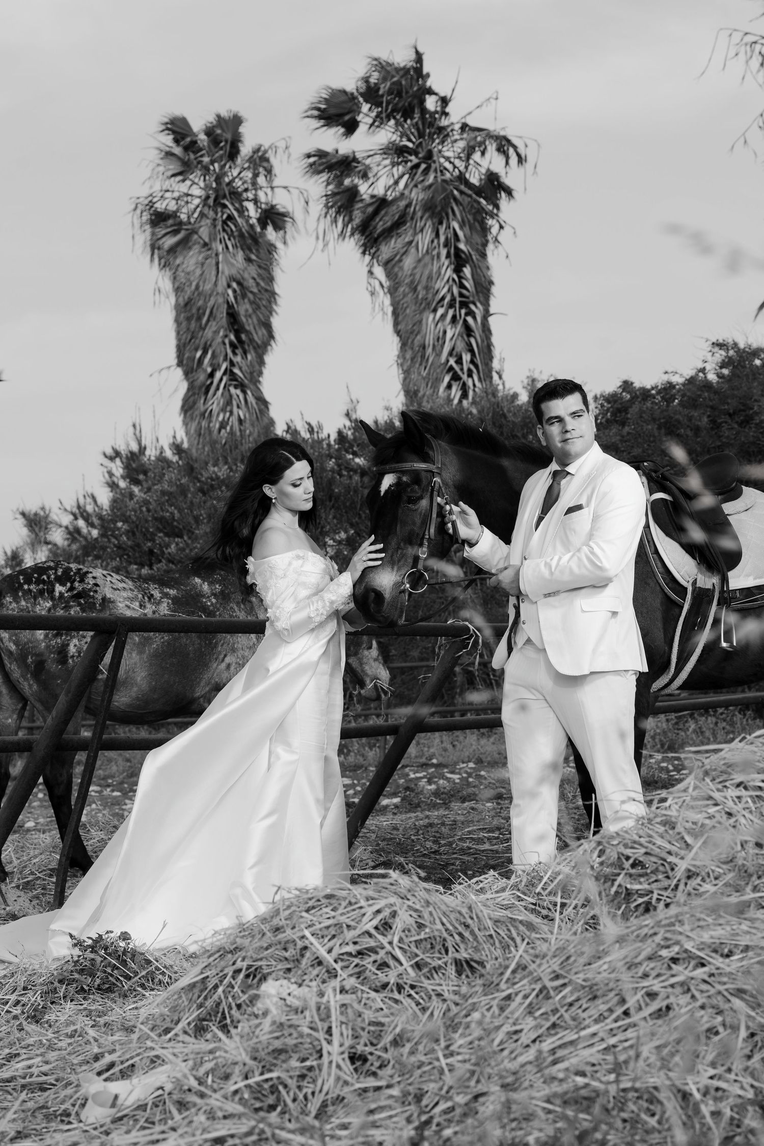 Black and white photo of bride and groom standing with dark horse near hay bales and palm trees.