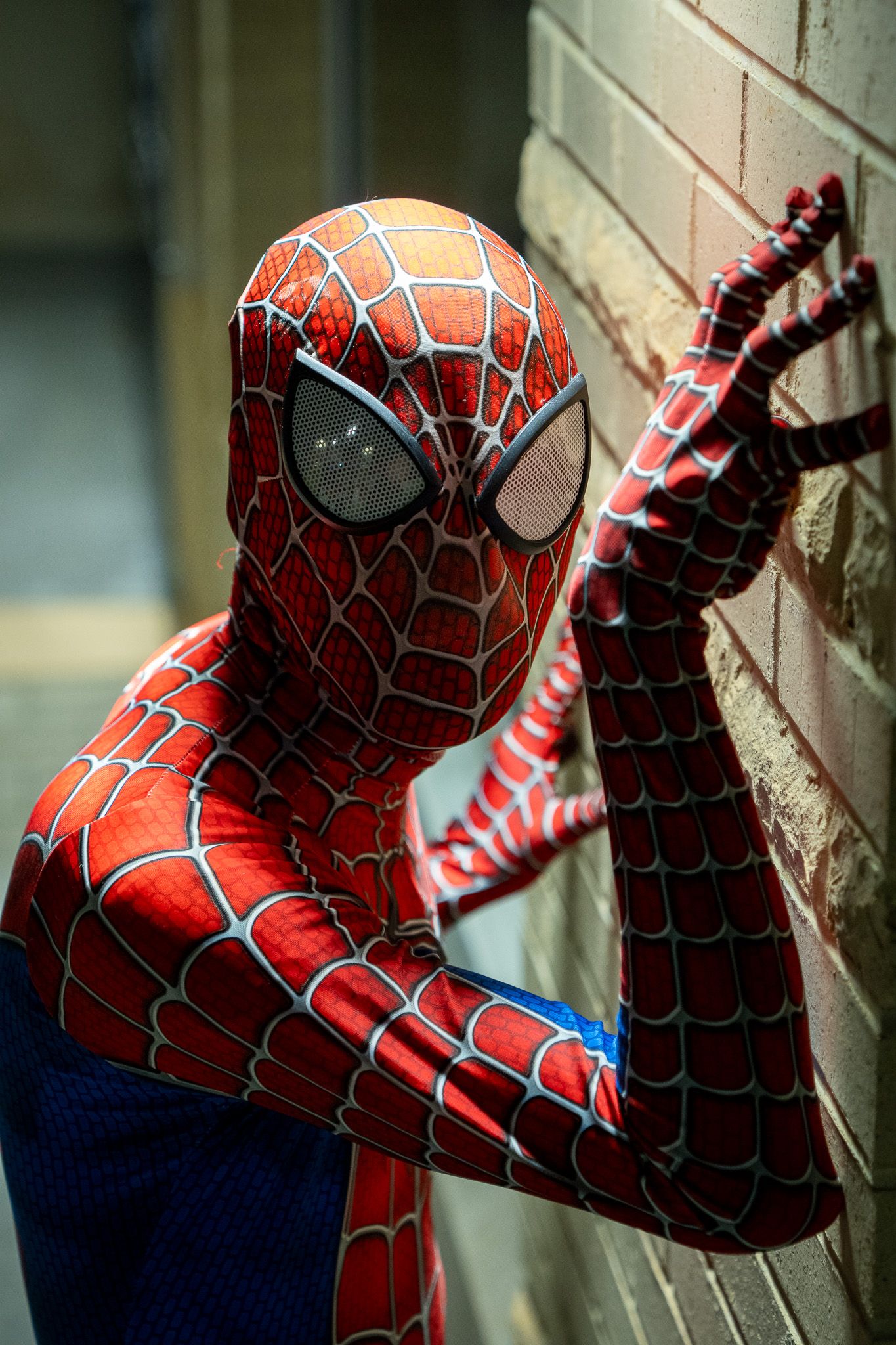 Spider-Man in classic red and blue costume poses against a brick wall in a dynamic defensive stance.