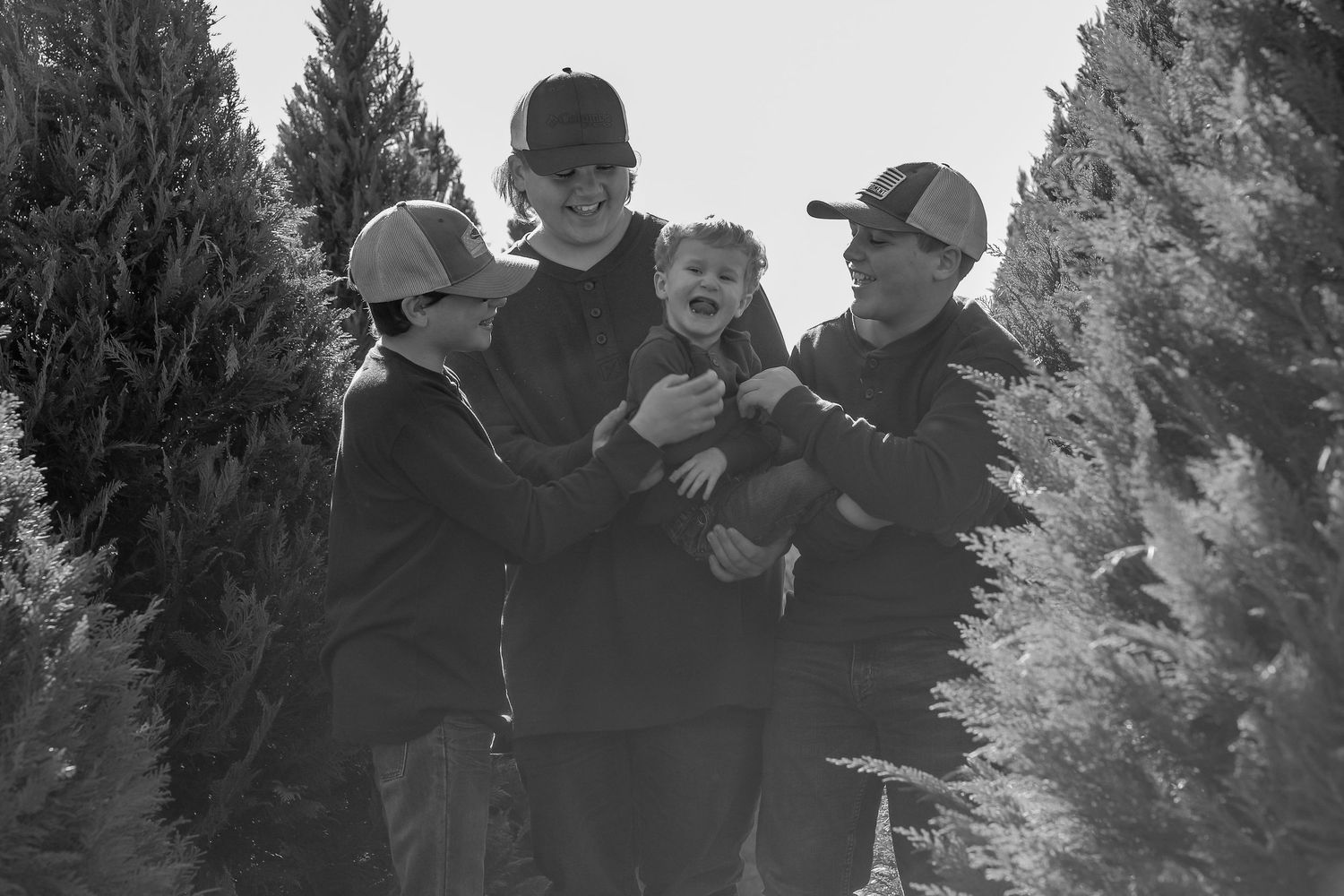 Black-and-white photo of family with two young children walking hand-in-hand between rows of Christmas trees — candid holiday portraits in Y