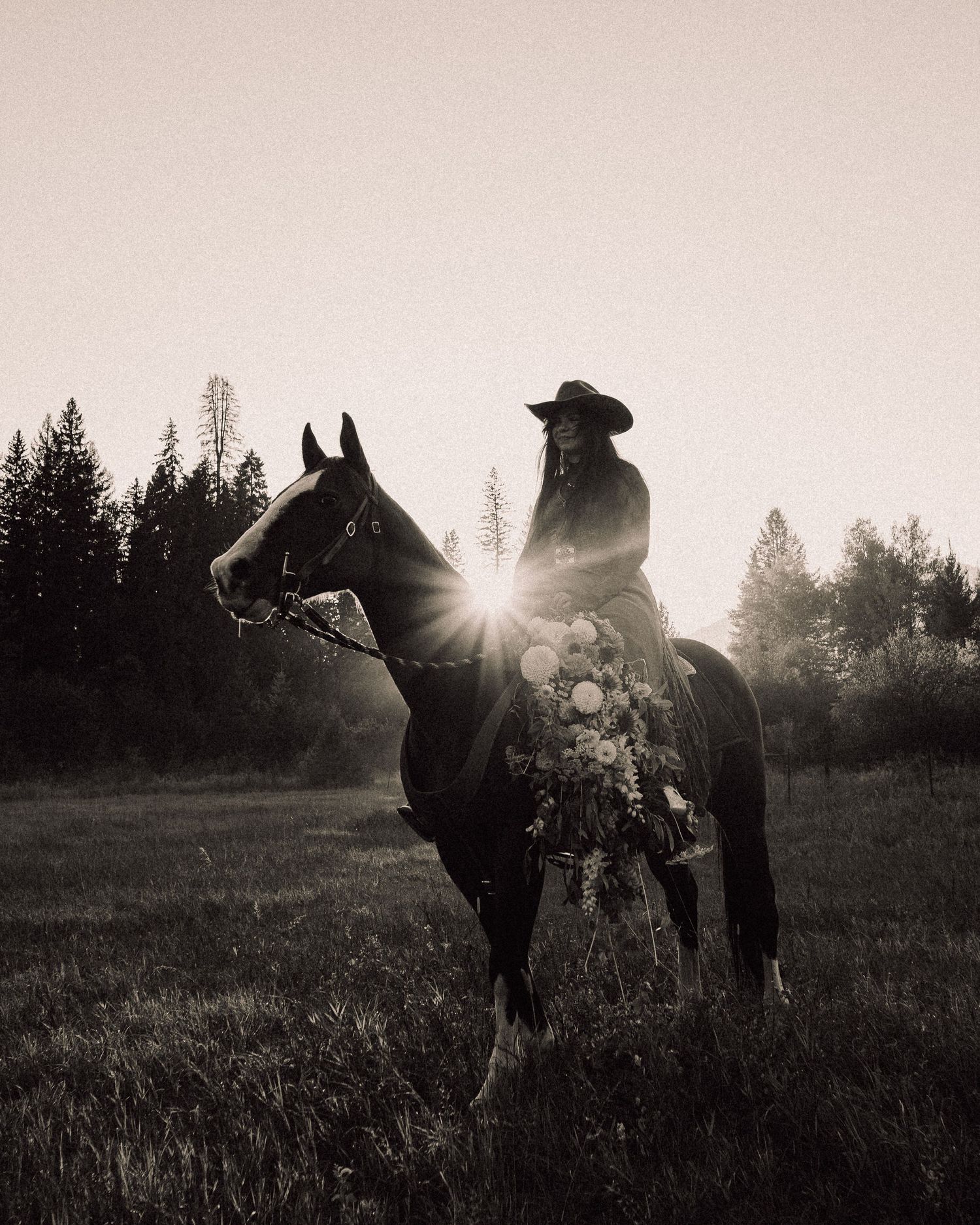 Commercial content creation in Montana