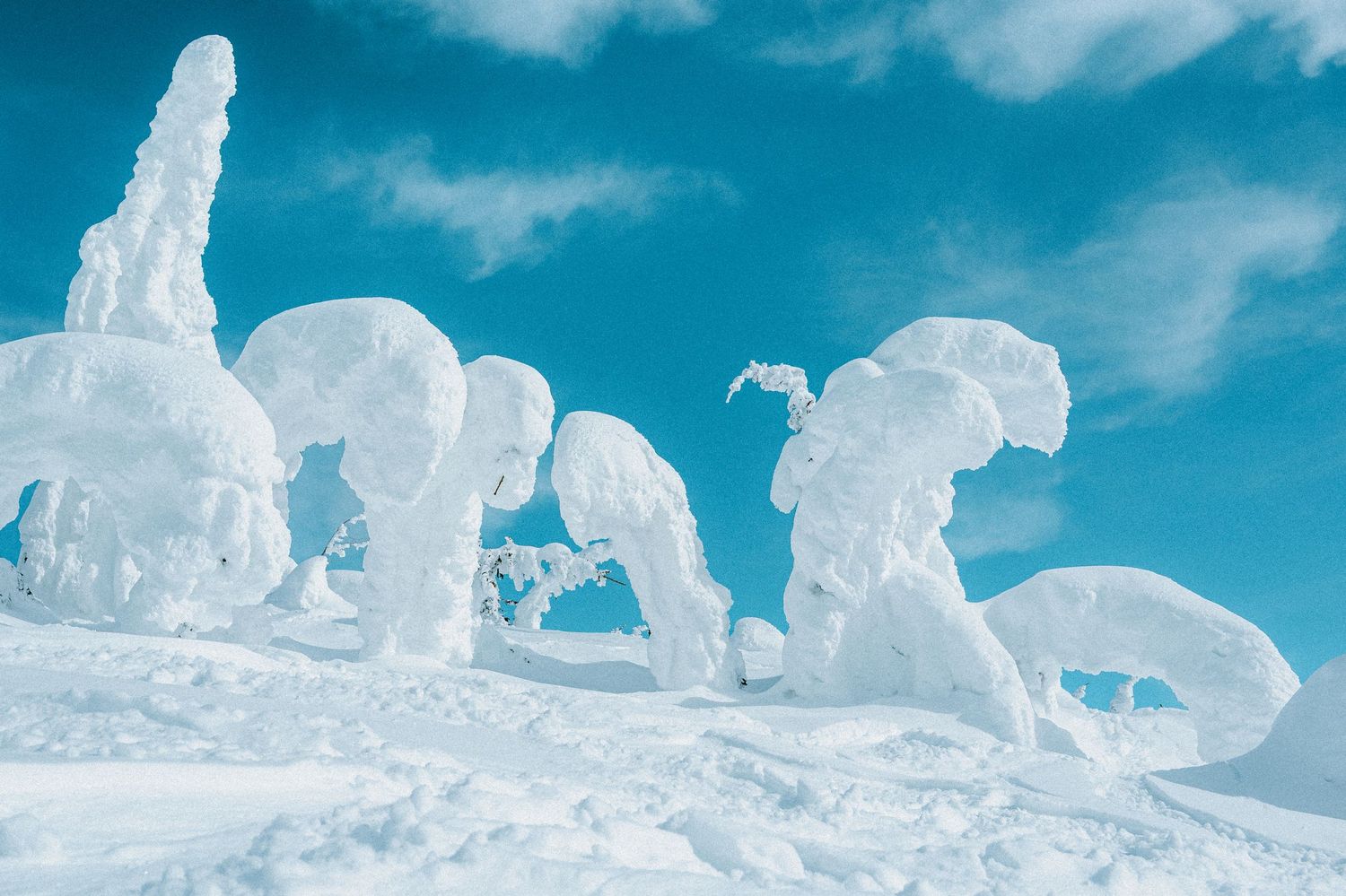 Outdoor content creation in Whitefish Montana