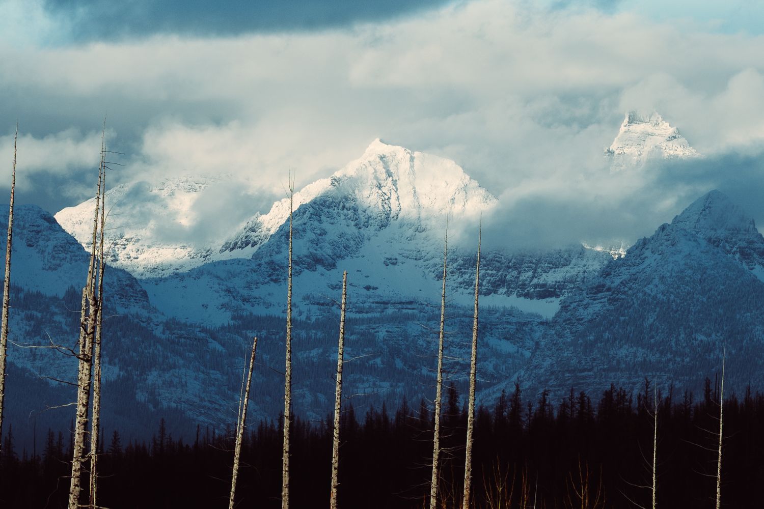 Professional photography by Zane Summit in Montana