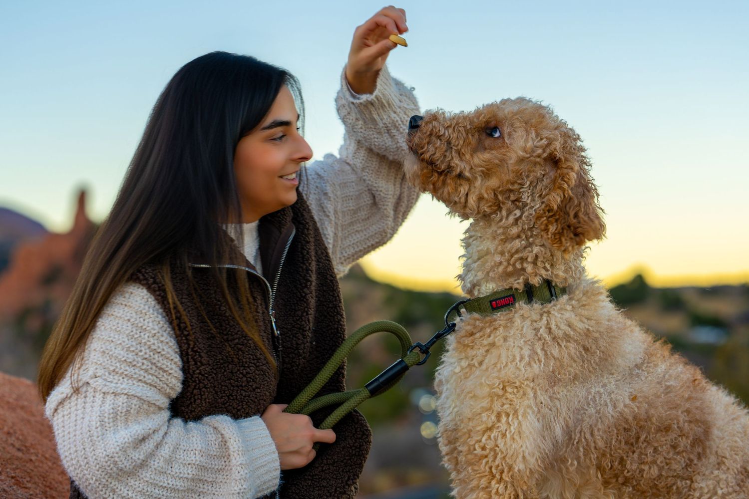 A person in a white sweater shares a tender moment with their goldendoodle dog at sunset in a field.