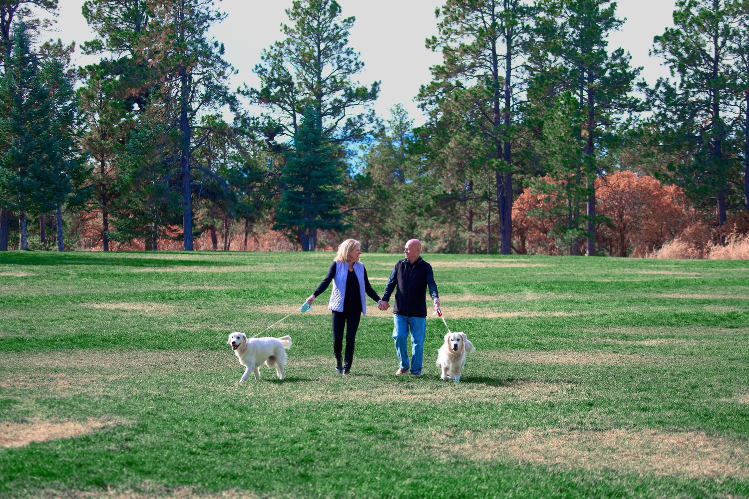 A couple walks their two dogs across a grassy field surrounded by pine trees.