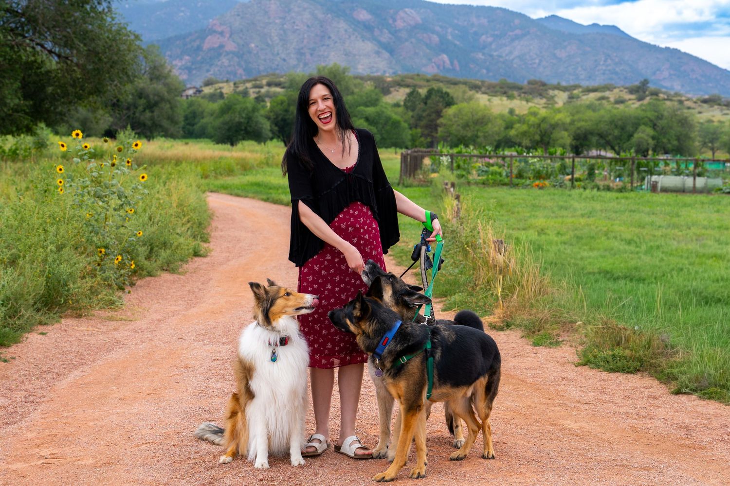 A person walks multiple dogs on a scenic mountain trail with the Flatirons rock formation visible in the background.