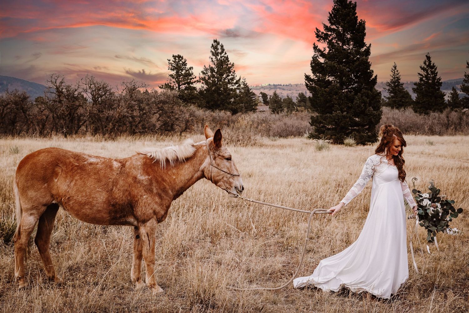 Woman in white dress standing near horse during sunset in rural field.