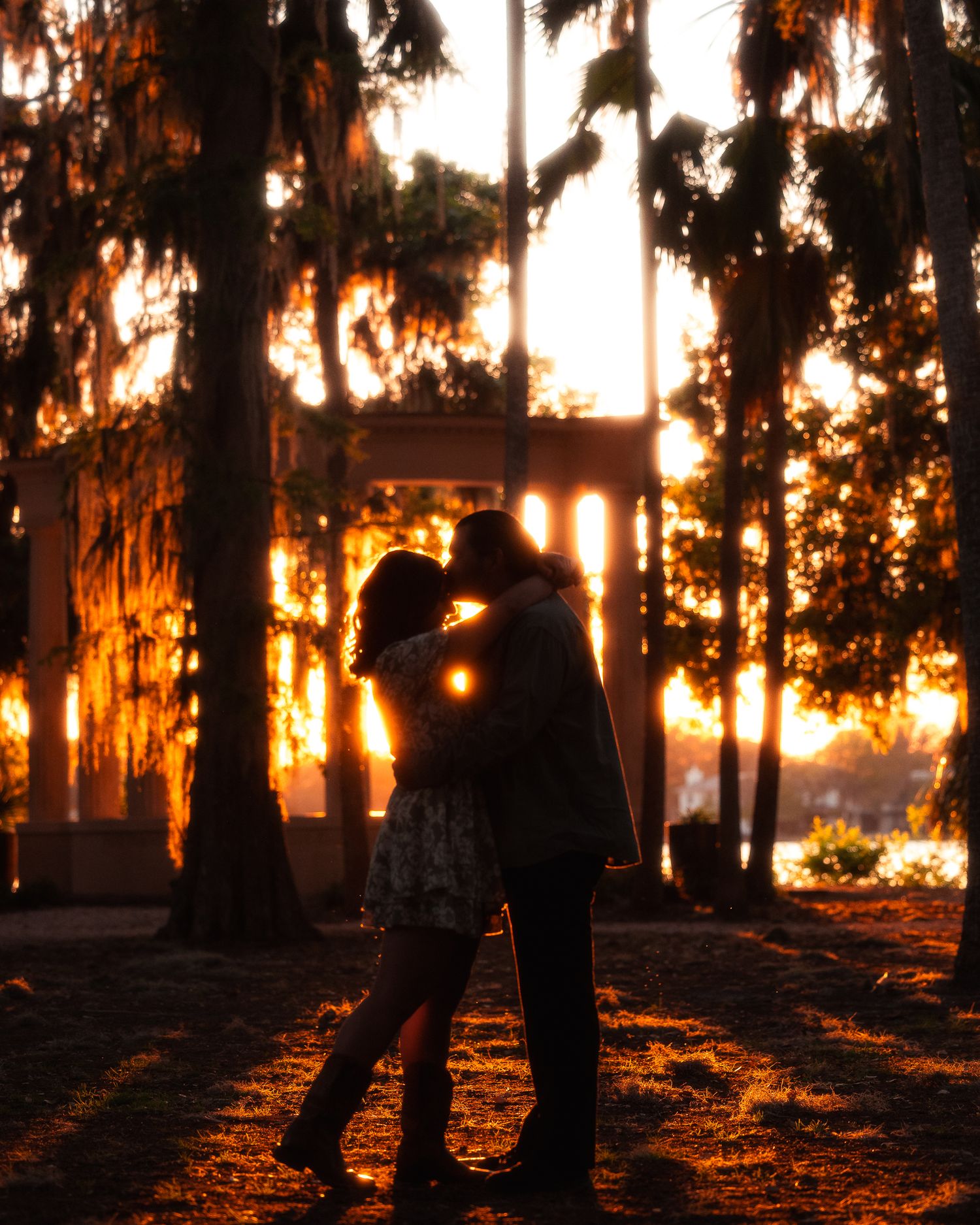 Silhouettes of figures standing in a forest at sunset with golden light streaming through the trees.