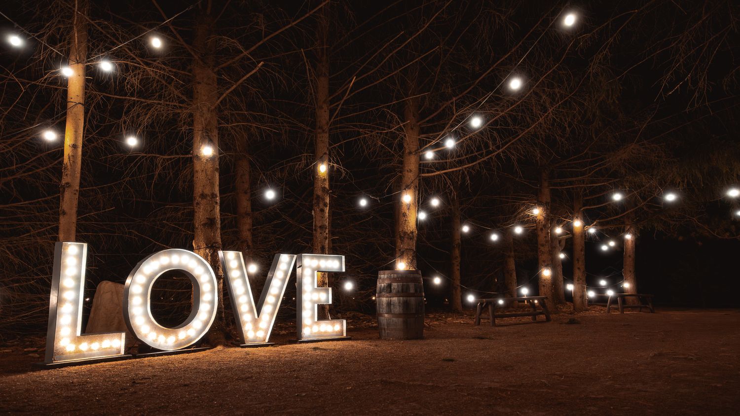 Illuminated LOVE sign glows against a dark forest backdrop with twinkle lights strung overhead.