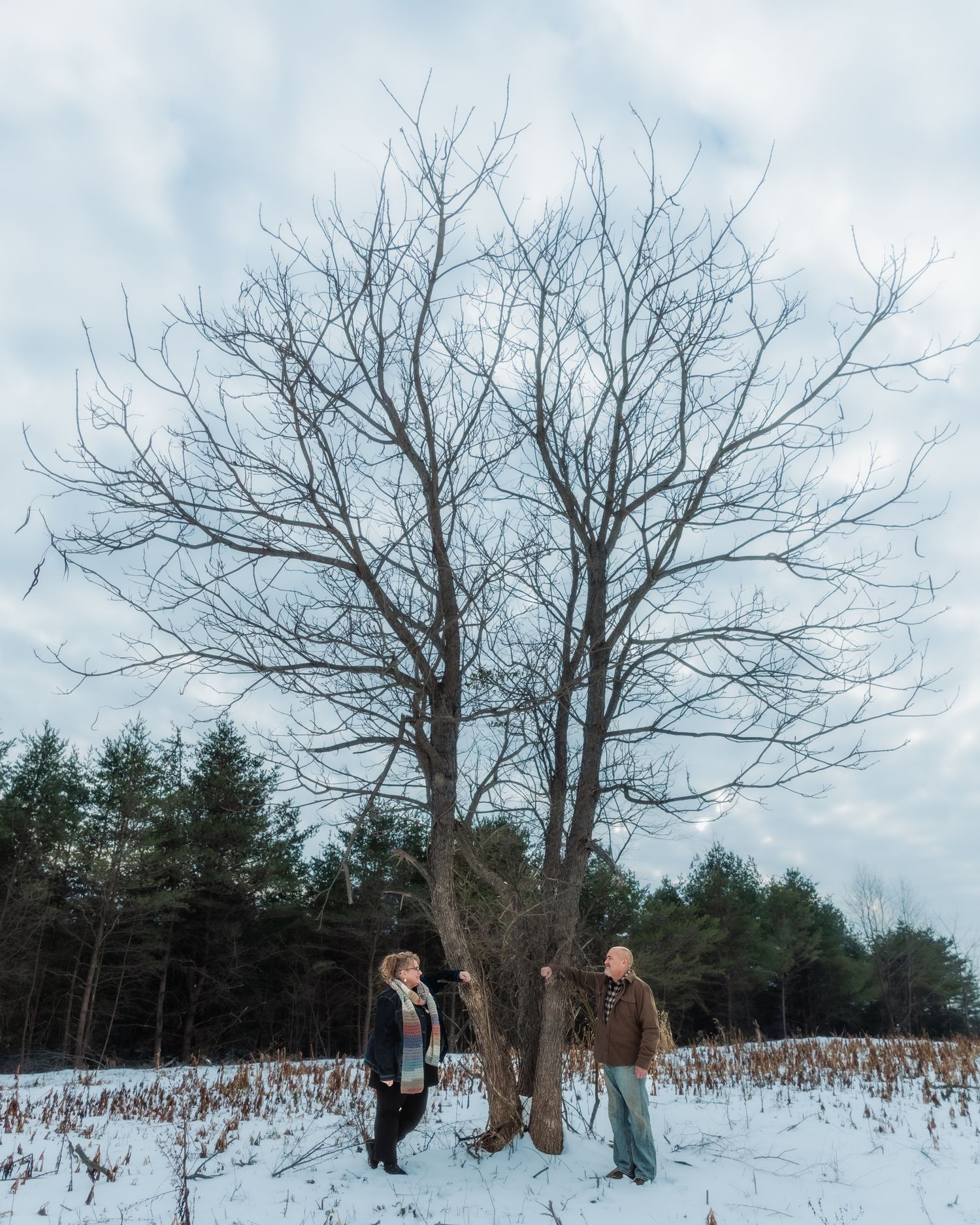 People walk through a snowy winter landscape with bare trees and evergreens against a cloudy sky.