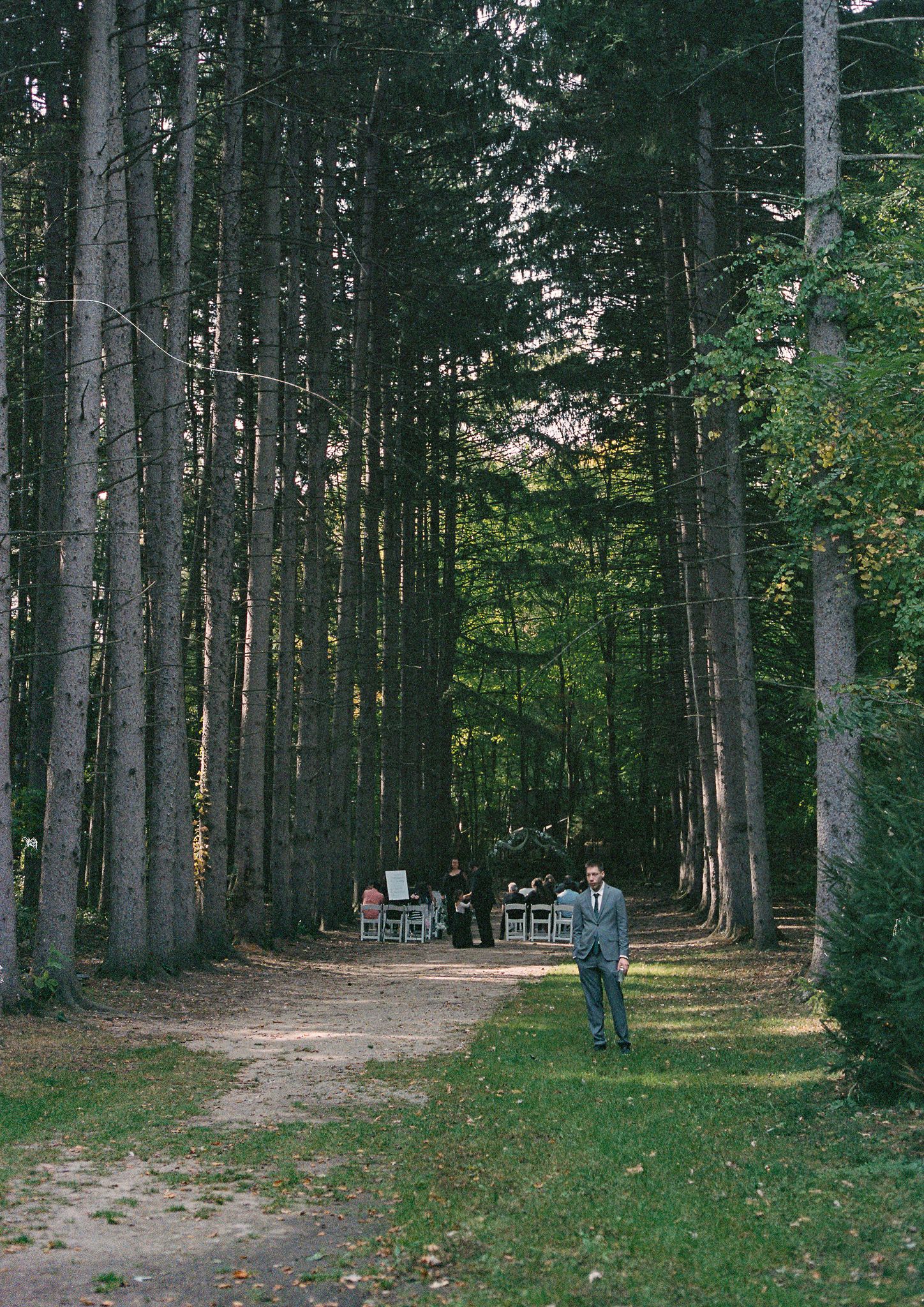A scenic dirt path winds through a dense forest of tall pine trees with dappled sunlight filtering through the canopy.