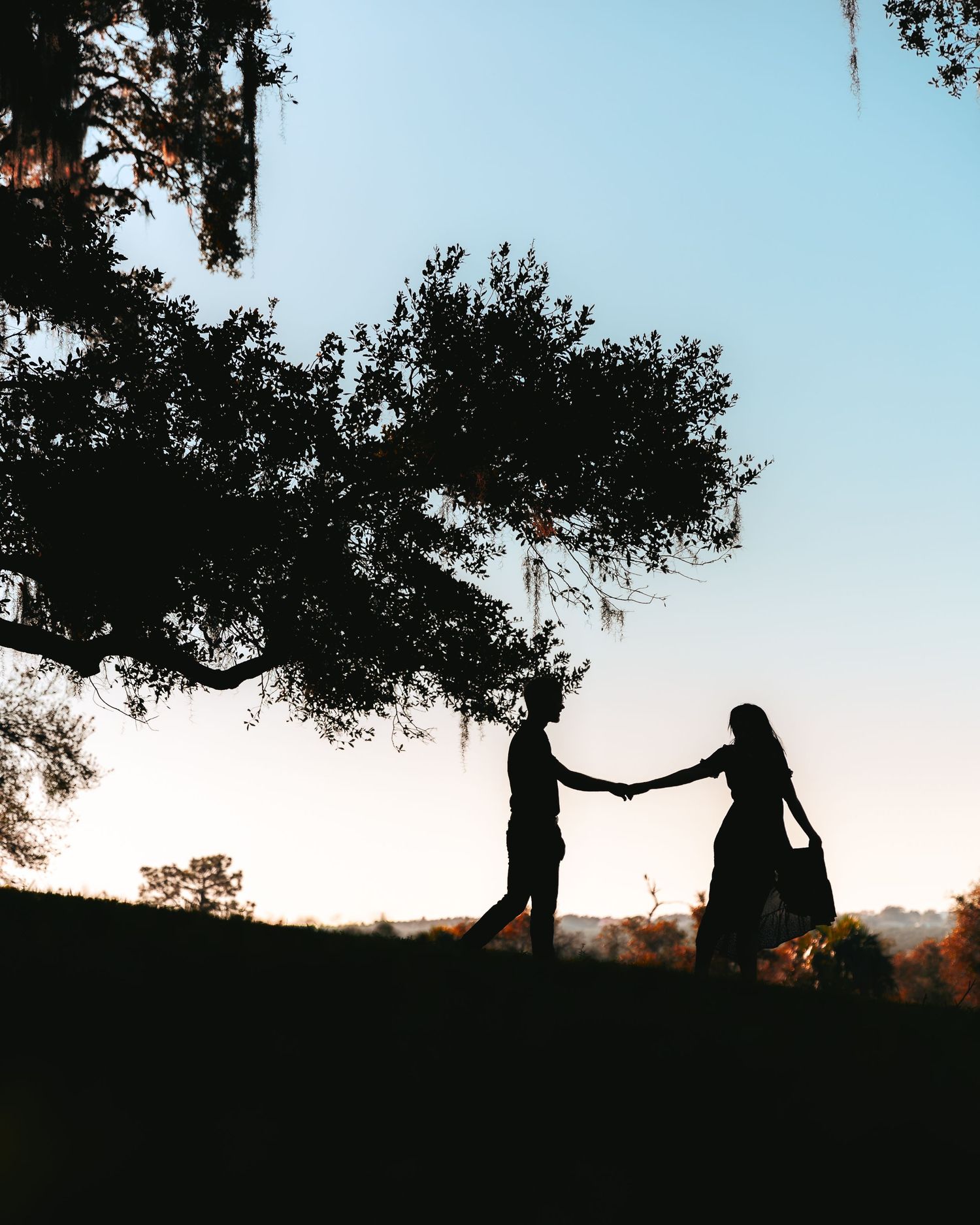 Silhouetted figures hold hands against a sunset sky with dark tree branches framing the romantic scene.