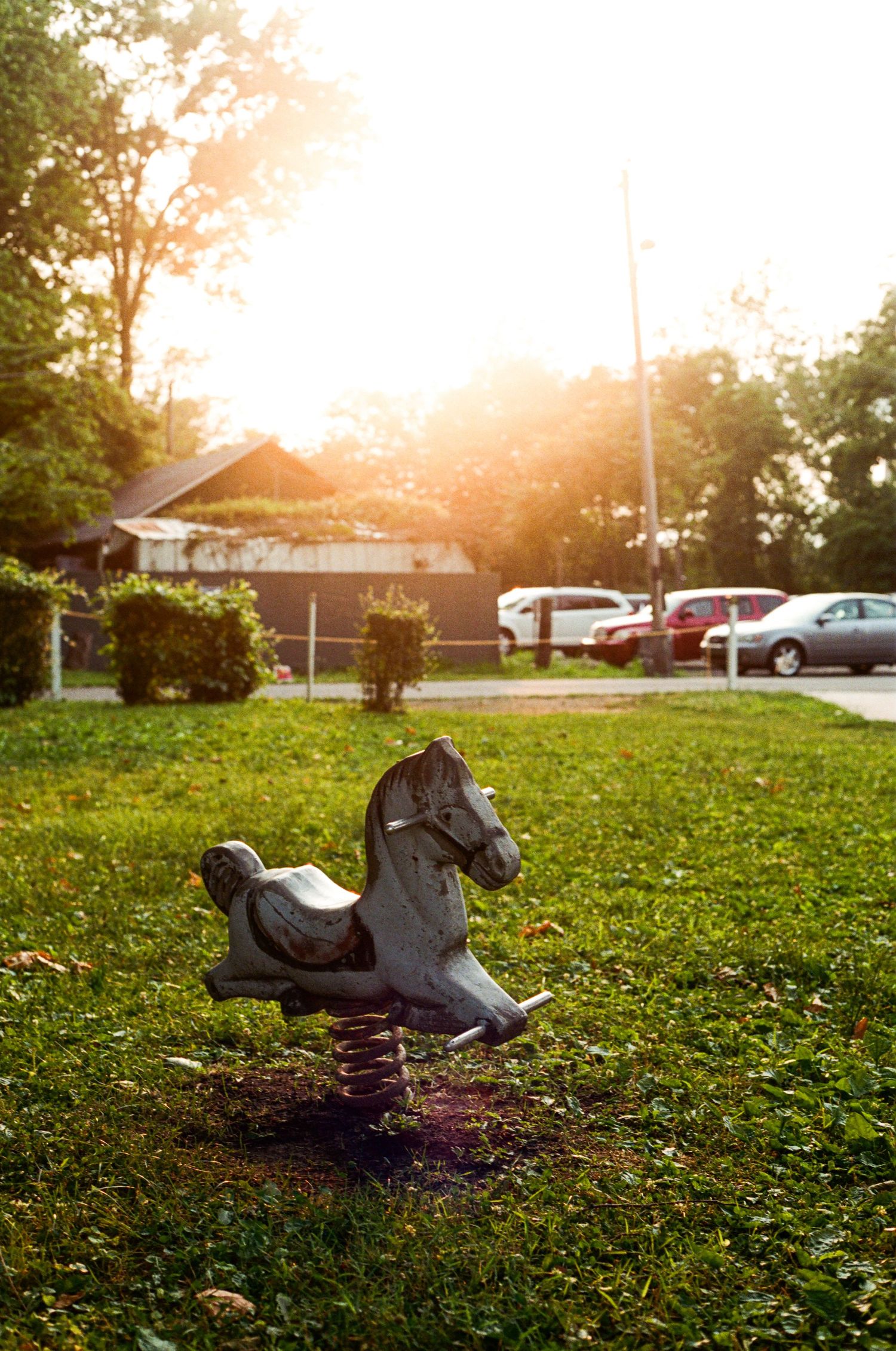 Playground rocking horse on spring in grassy park during golden hour sunset.