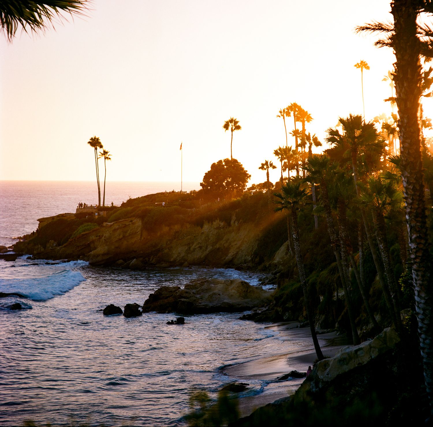 Scenic coastal sunset view with palm trees and rocky cliffs overlooking the ocean.