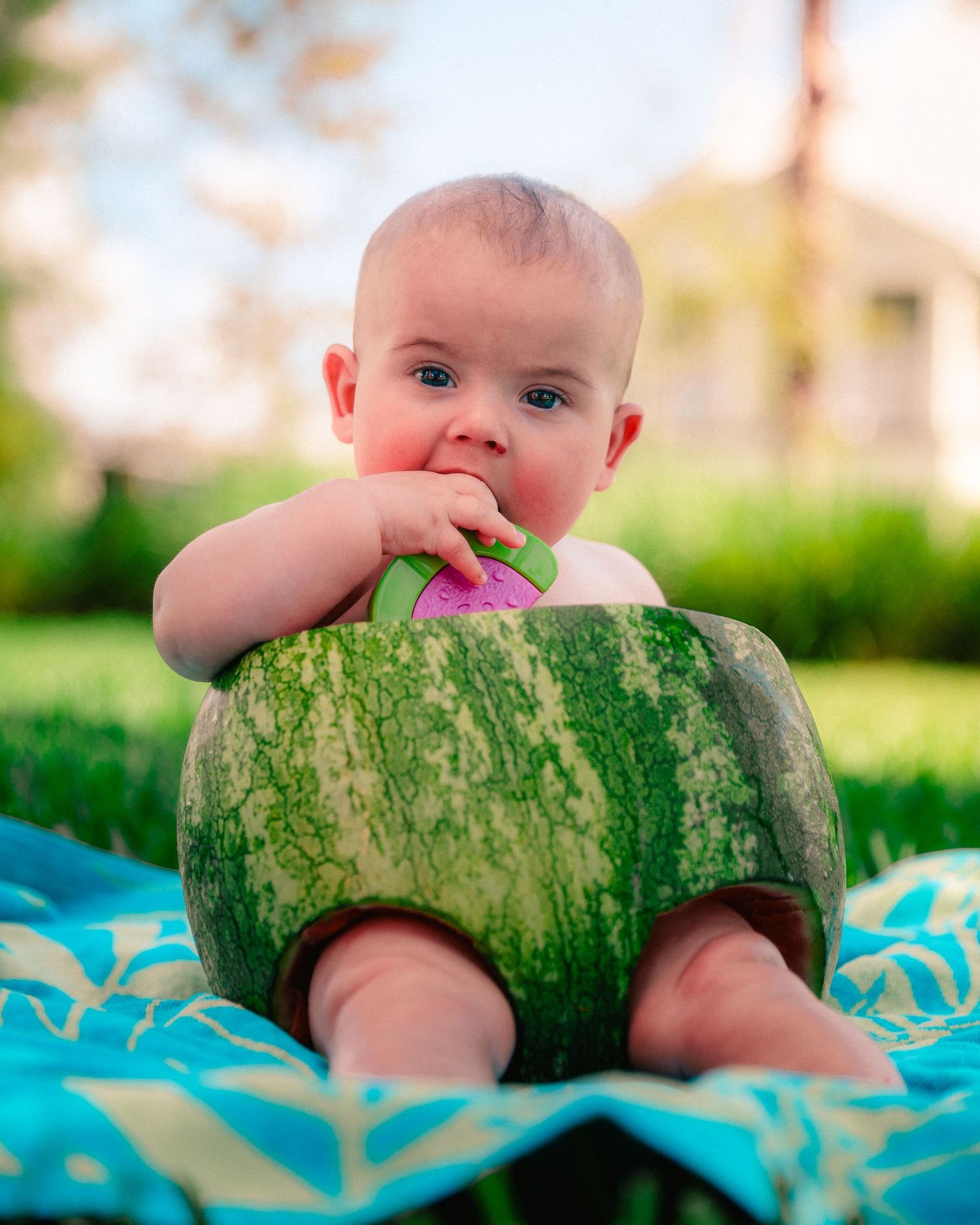 A series of photos showing a baby taking bites from a large watermelon while lying on a blue and white blanket outdoors.