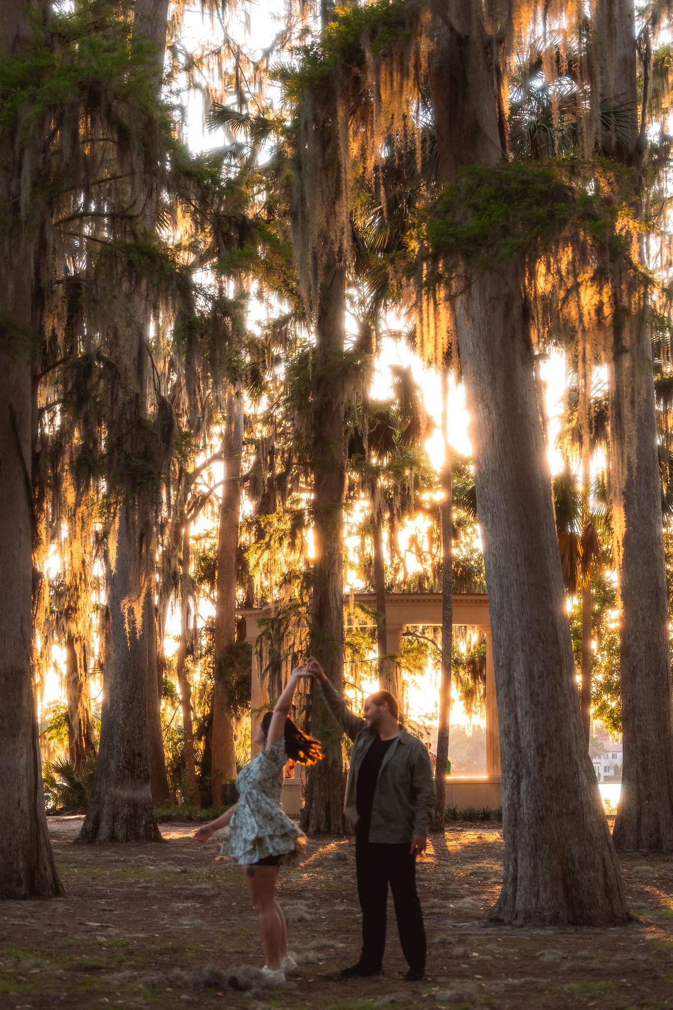 Sunlight filters through Spanish moss hanging from tall cypress trees in a romantic golden hour forest setting.