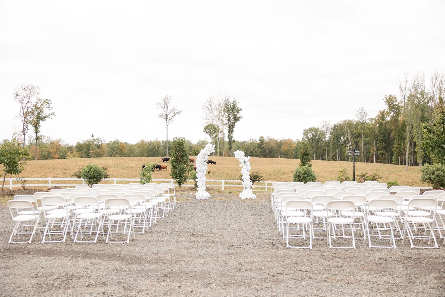 Sarah Bailey Photography